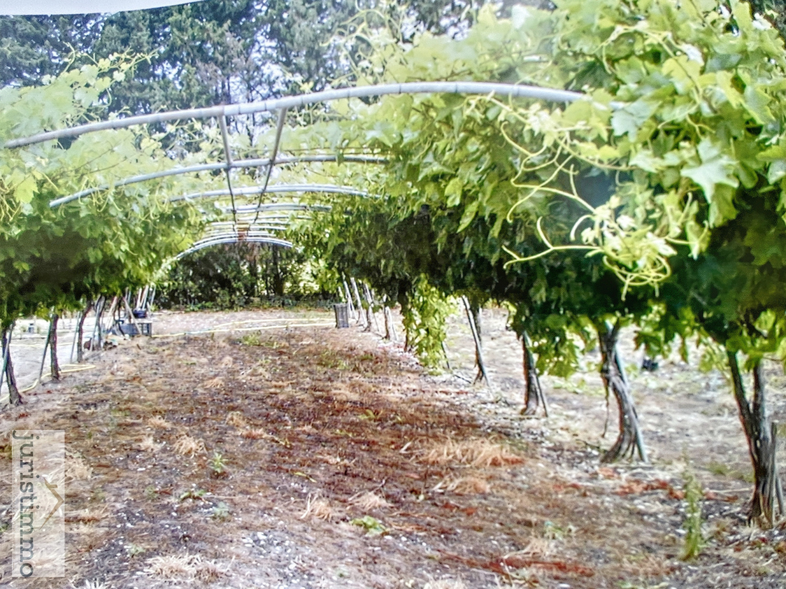 Image_18, Propriete, Orange, ref :160