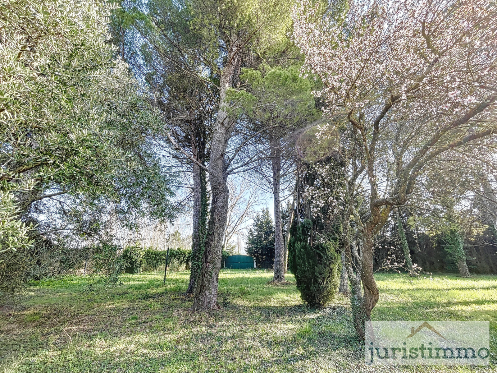 Image_17, Propriete, Orange, ref :160