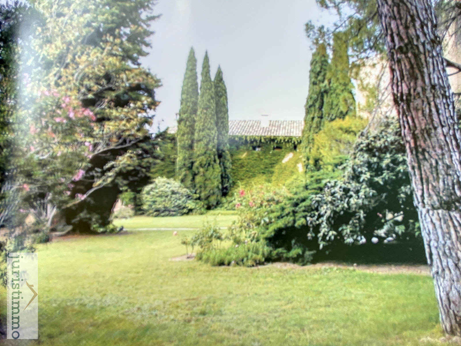 Image_6, Propriete, Orange, ref :160