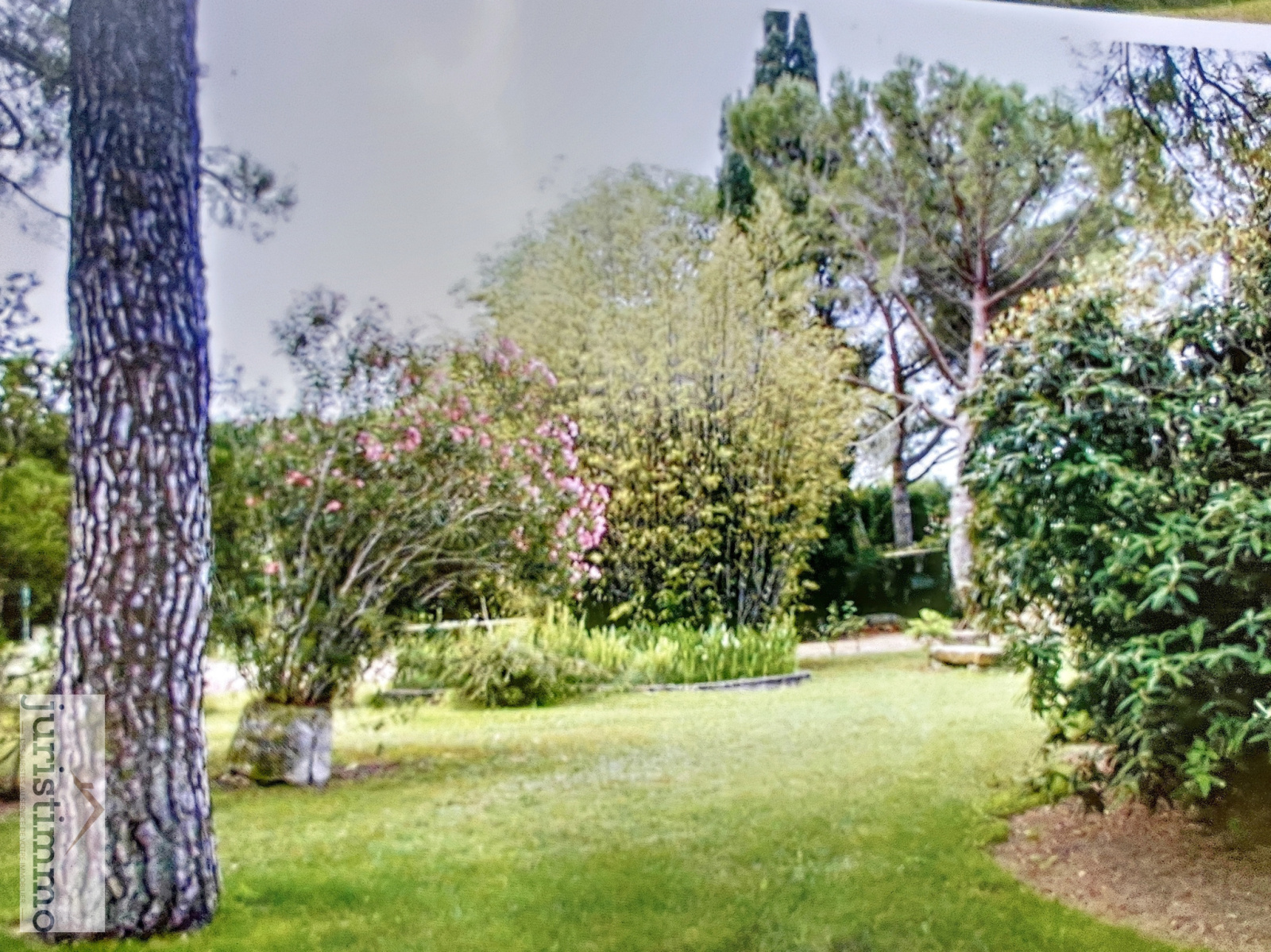 Image_7, Propriete, Orange, ref :160