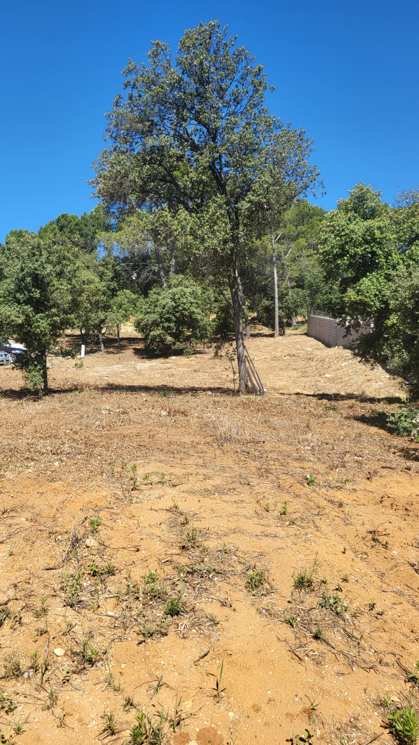 Image_5, Terrain à batir, Piolenc, ref :410