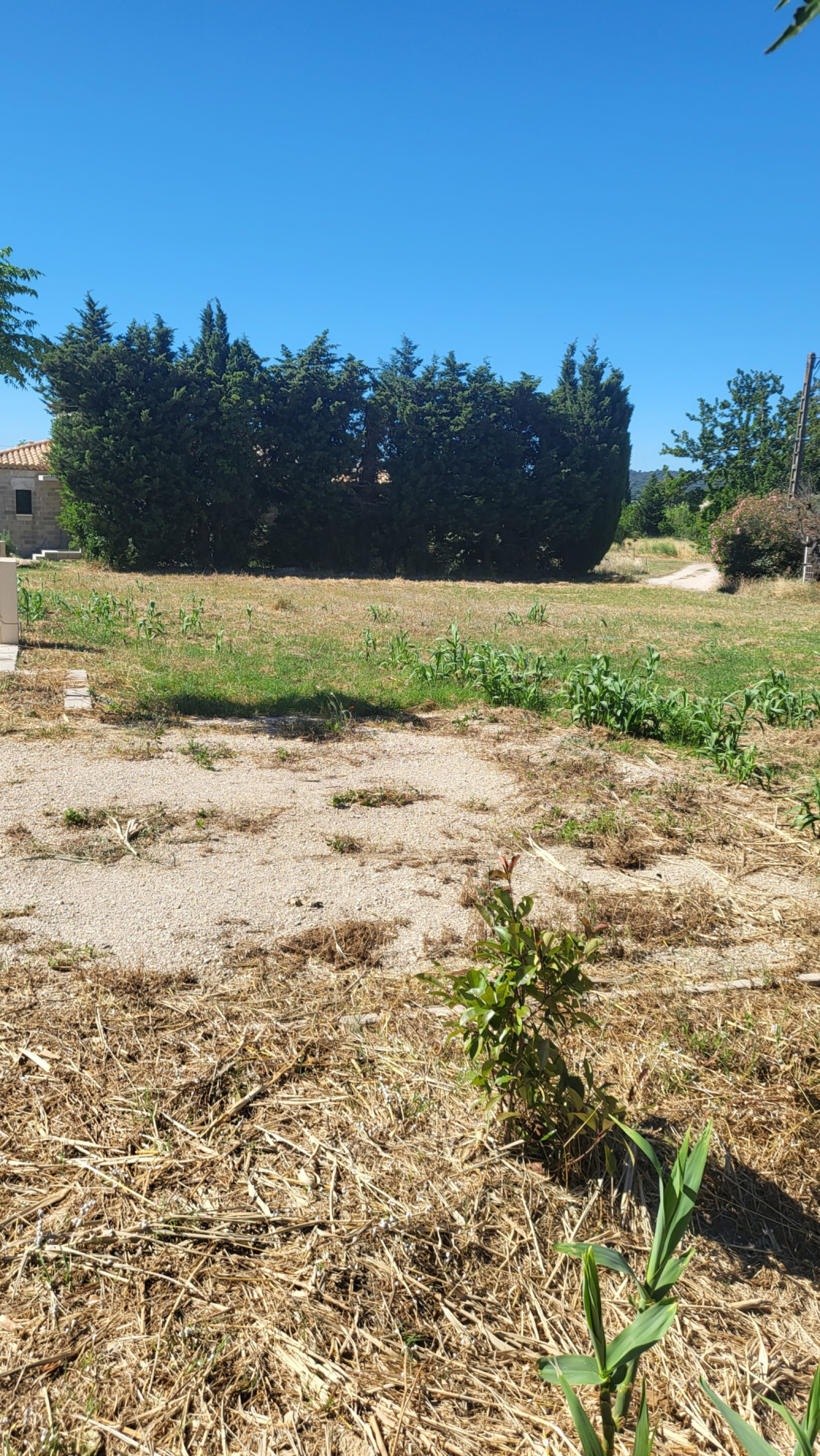 Image_6, Terrain à batir, Piolenc, ref :410