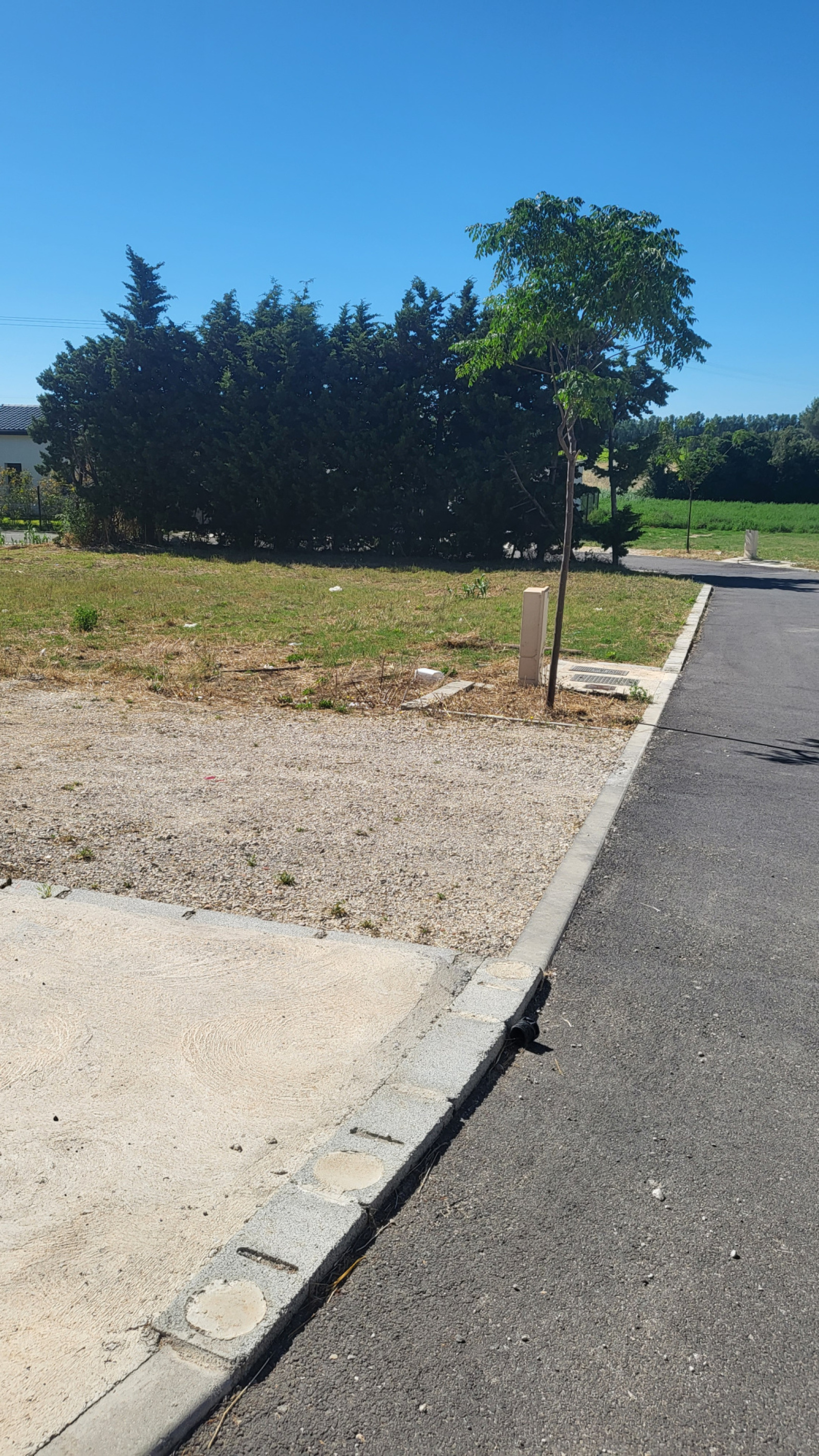 Image_4, Terrain à batir, Piolenc, ref :410