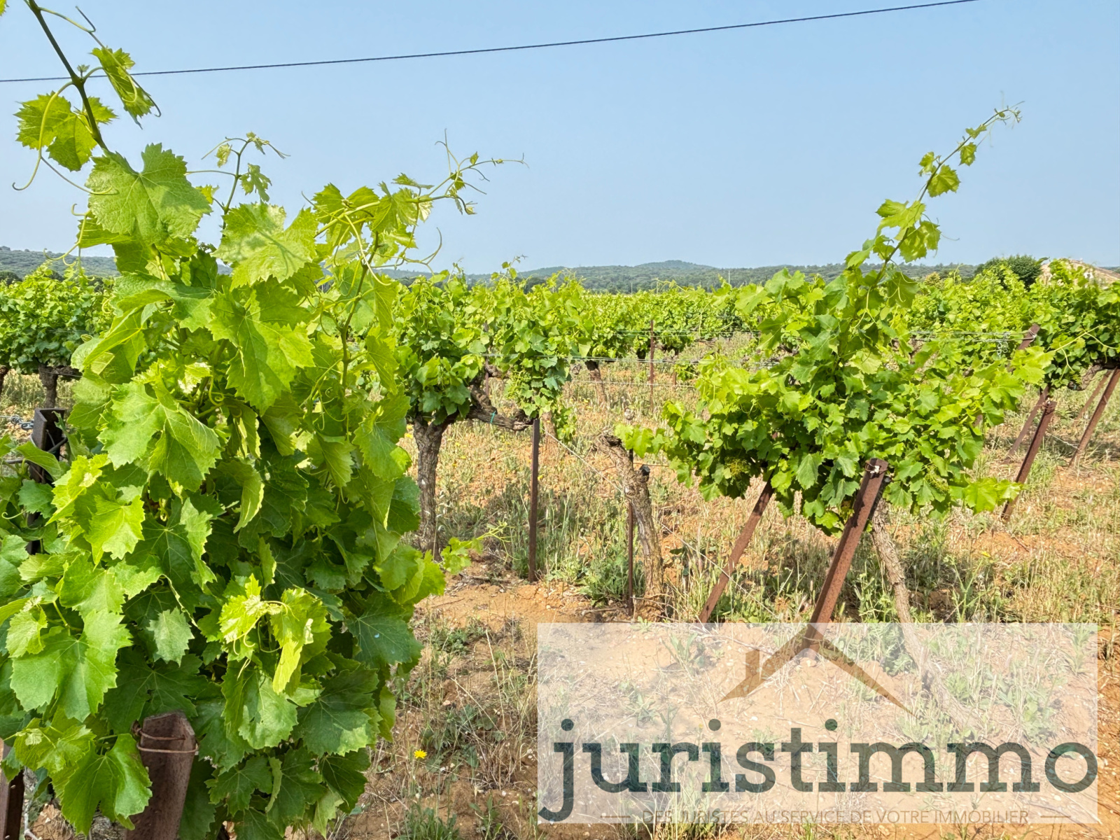 Image_4, Terrains, Rochegude, ref :568