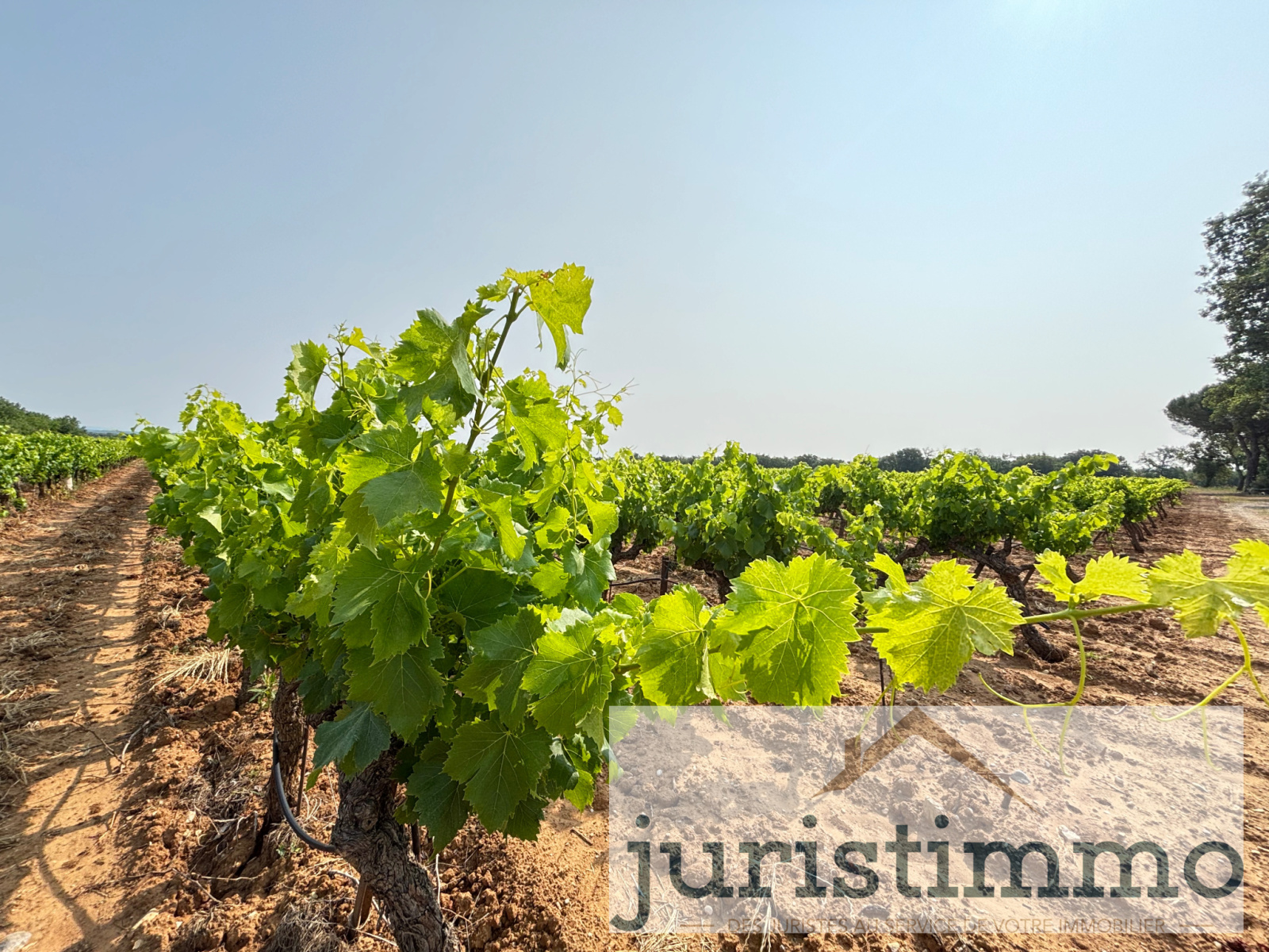 Image_5, Terrains, Rochegude, ref :568