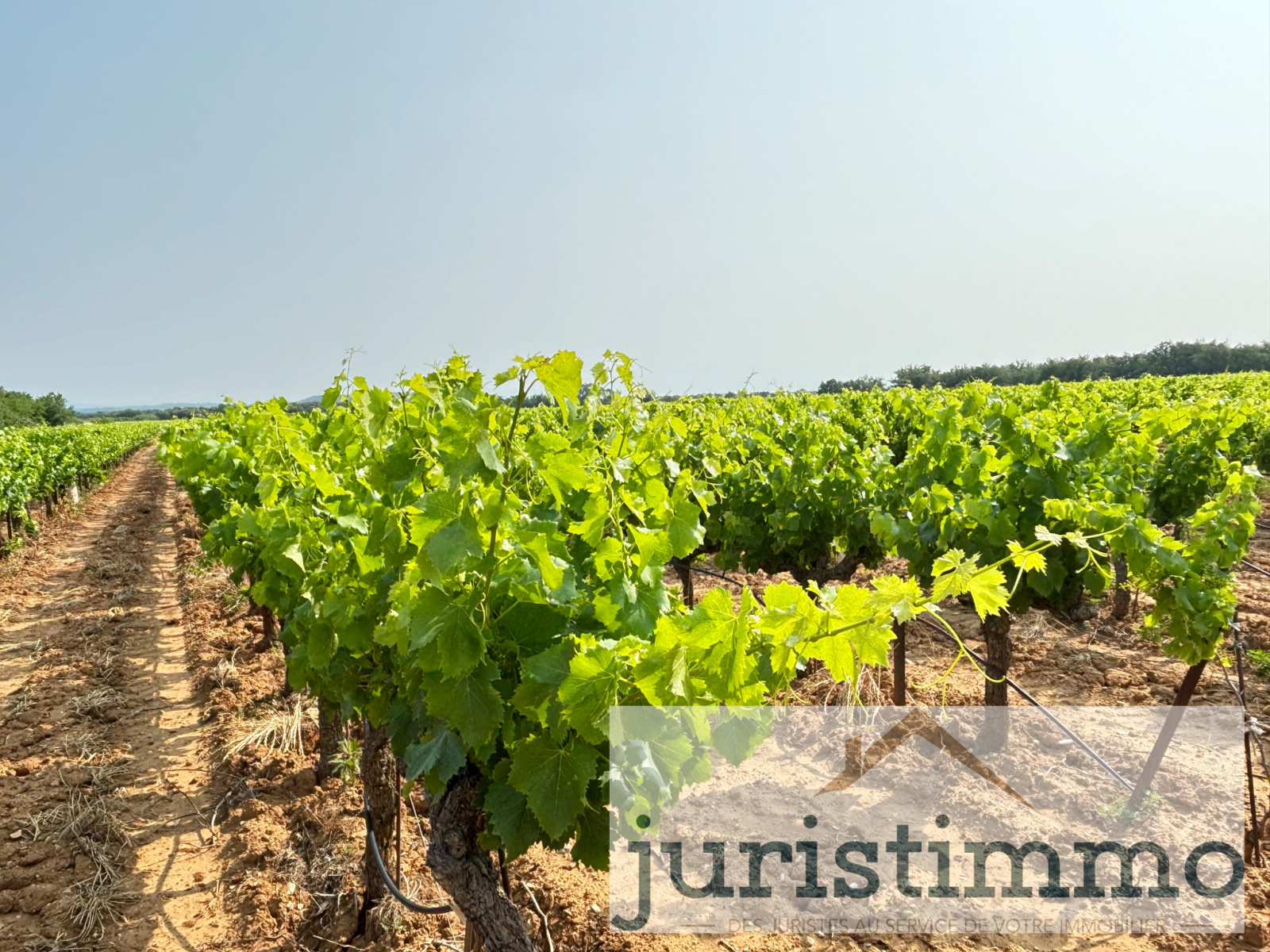 Image_1, Terrains, Rochegude, ref :568