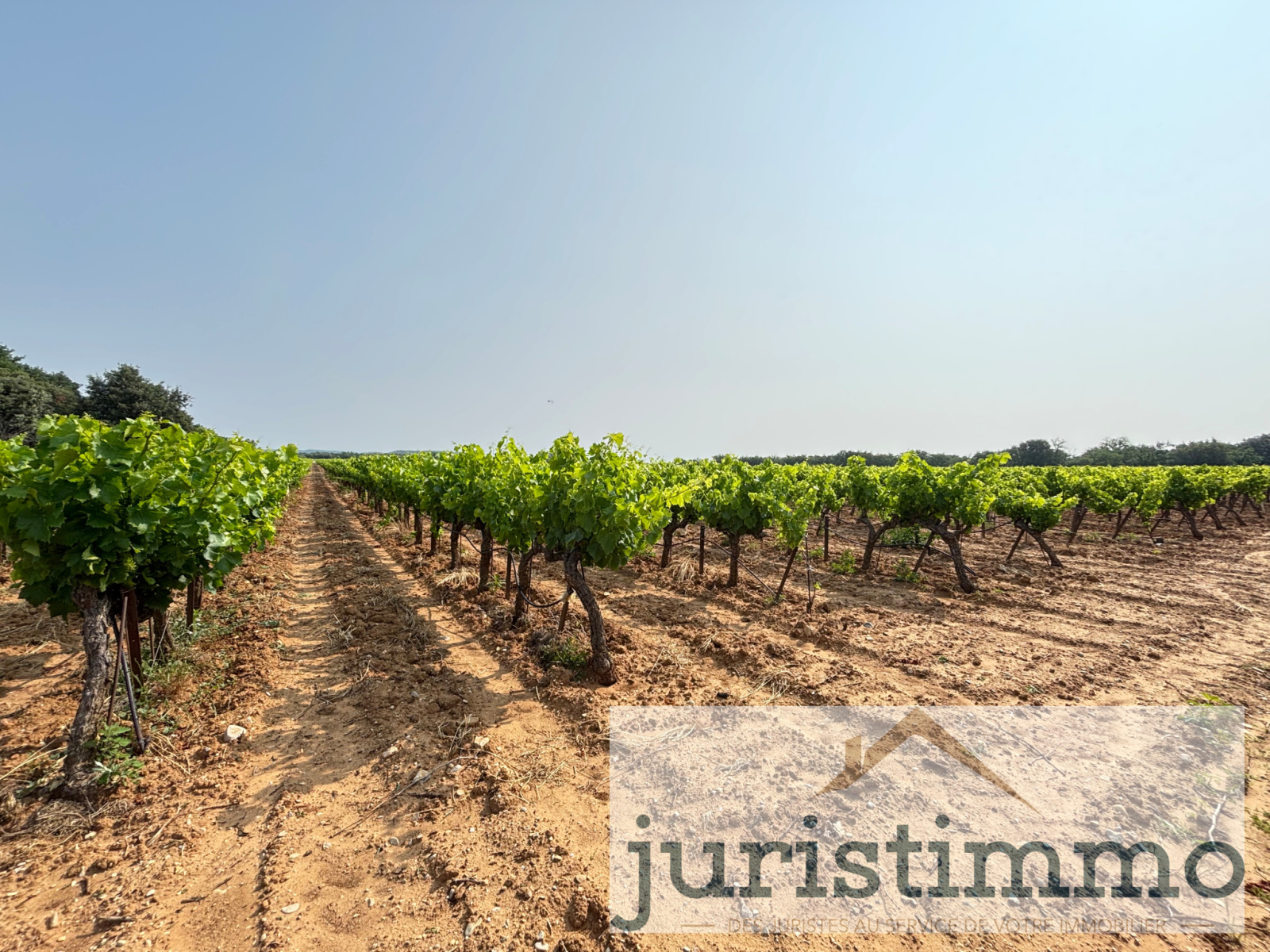 Image_2, Terrains, Rochegude, ref :568