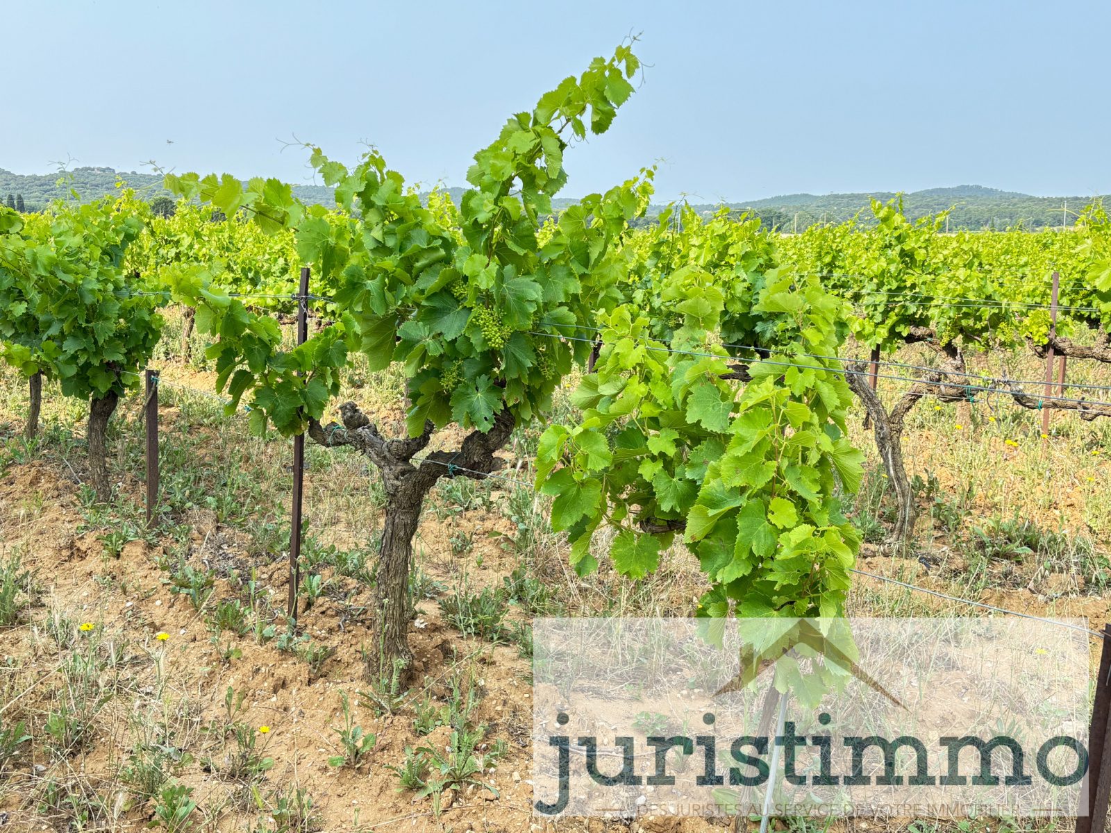 Image_6, Terrains, Rochegude, ref :568