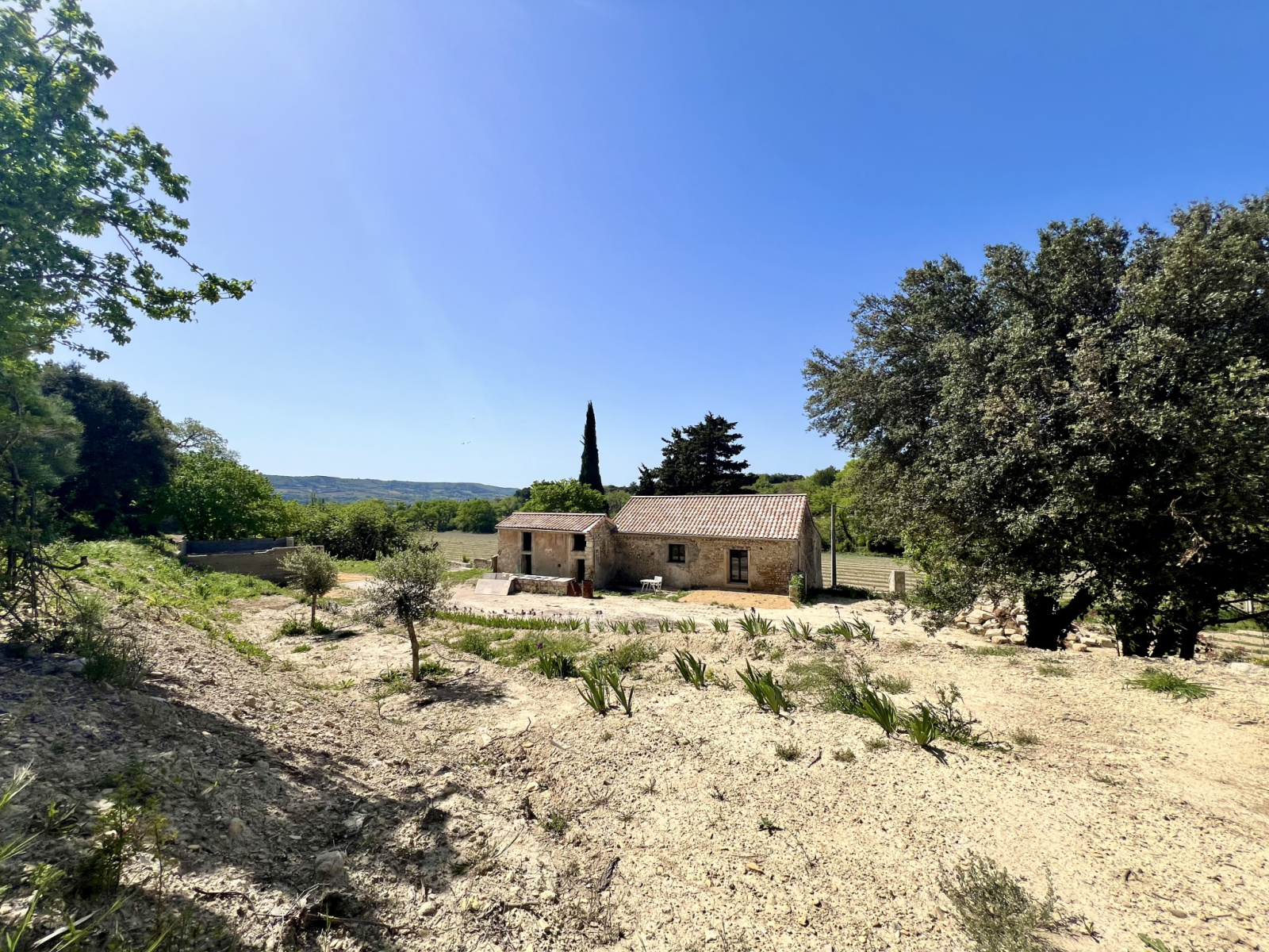 Image_10, Ferme, Visan, ref :343