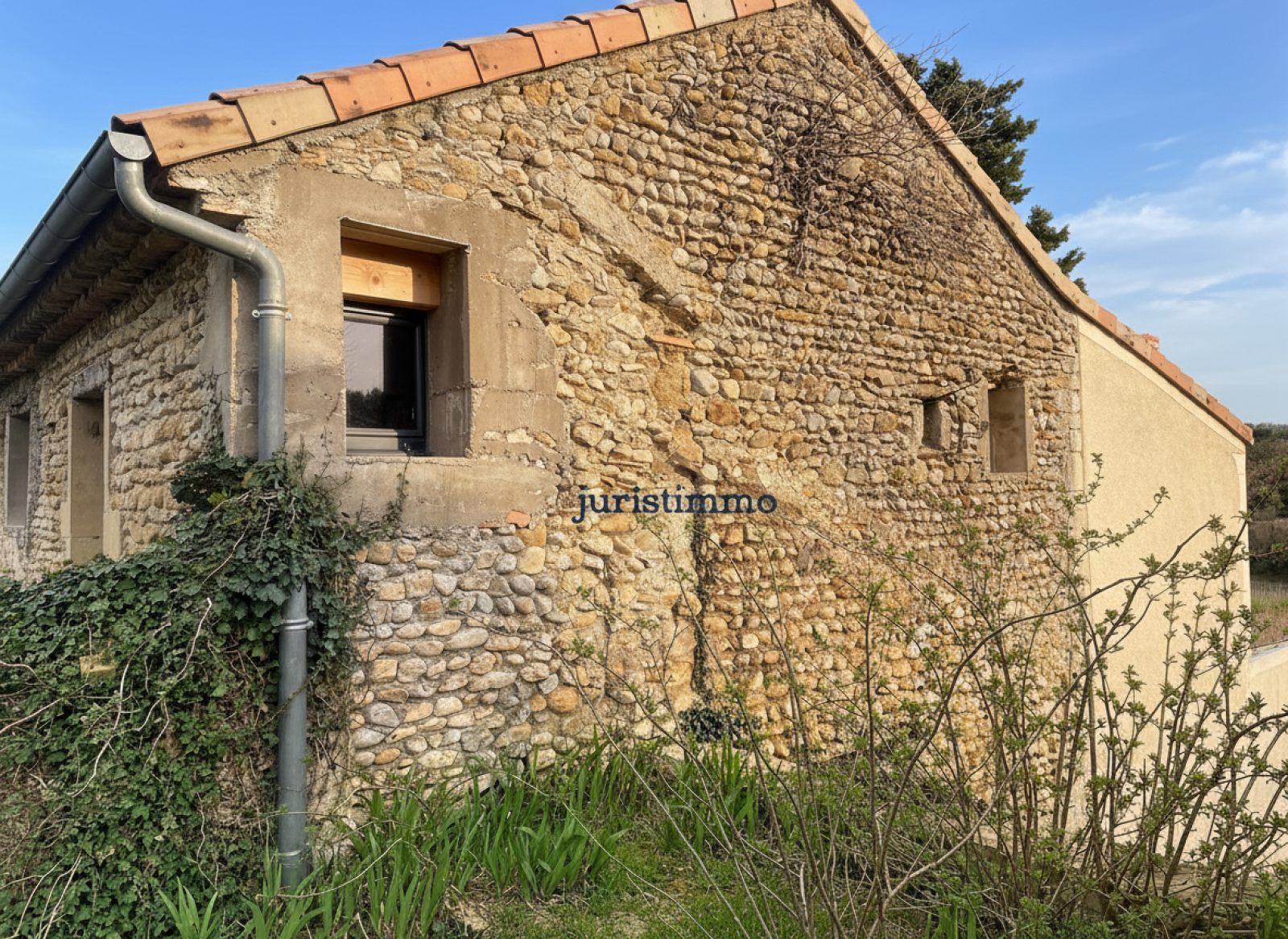 Image_11, Ferme, Visan, ref :343