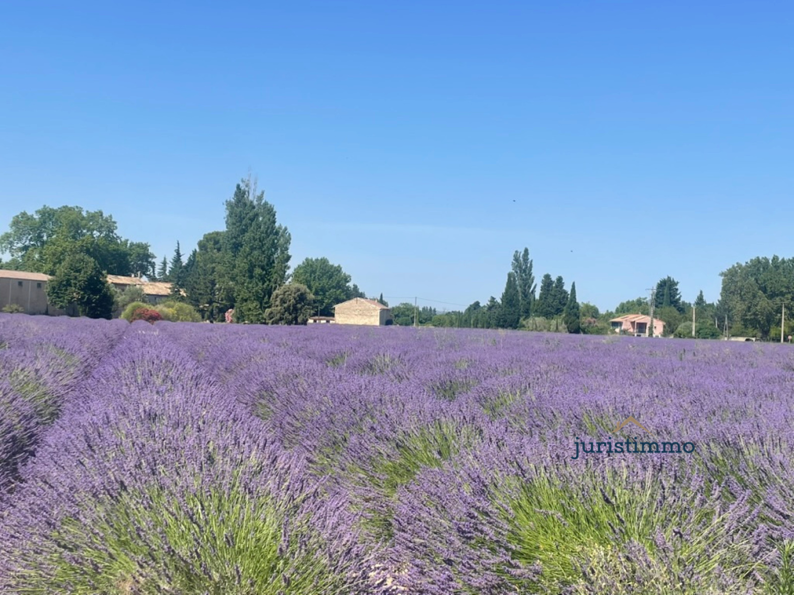 Image_4, Propriete, Camaret-sur-Aigues, ref :794