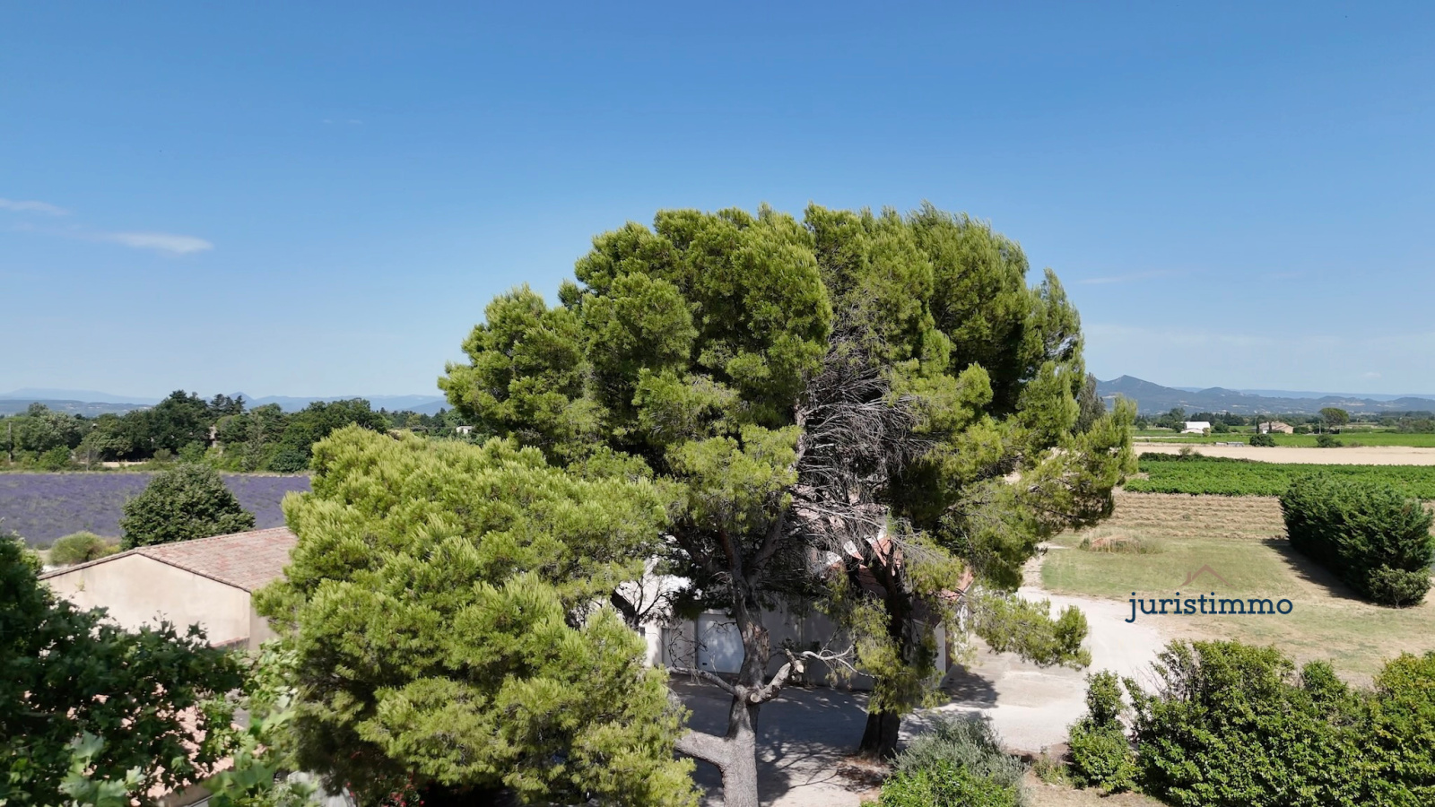 Image_35, Propriete, Camaret-sur-Aigues, ref :794