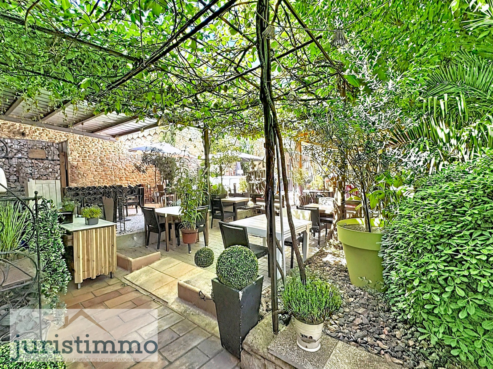 Image_10, Propriete, Piolenc, ref :813