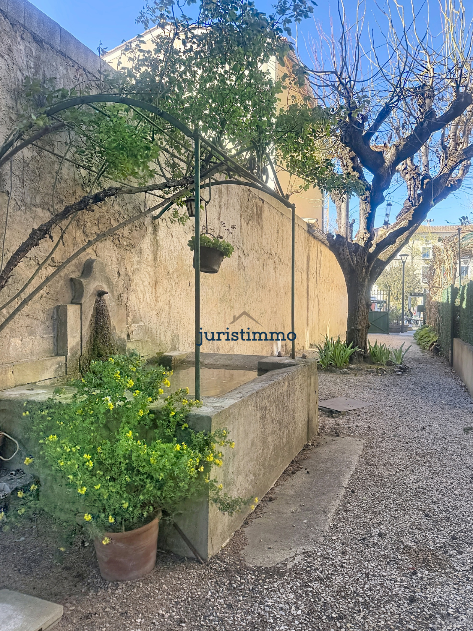 Image_1, Maison, Malaucène, ref :758