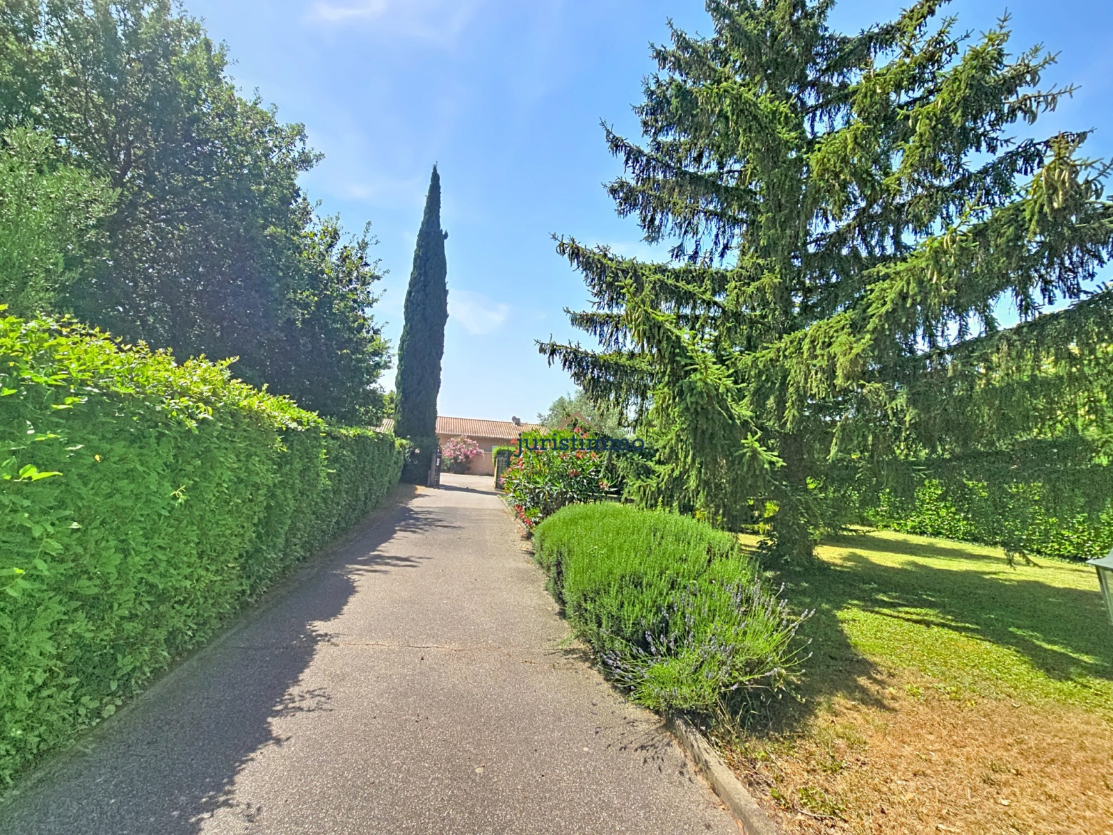 Image_8, Maison, Richerenches, ref :815