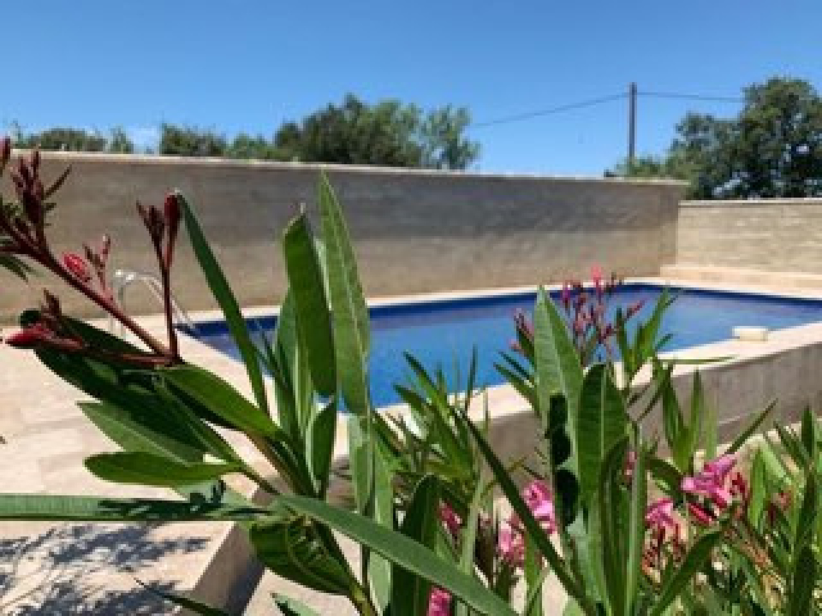 Image_20, Maison, Courthézon, ref :631