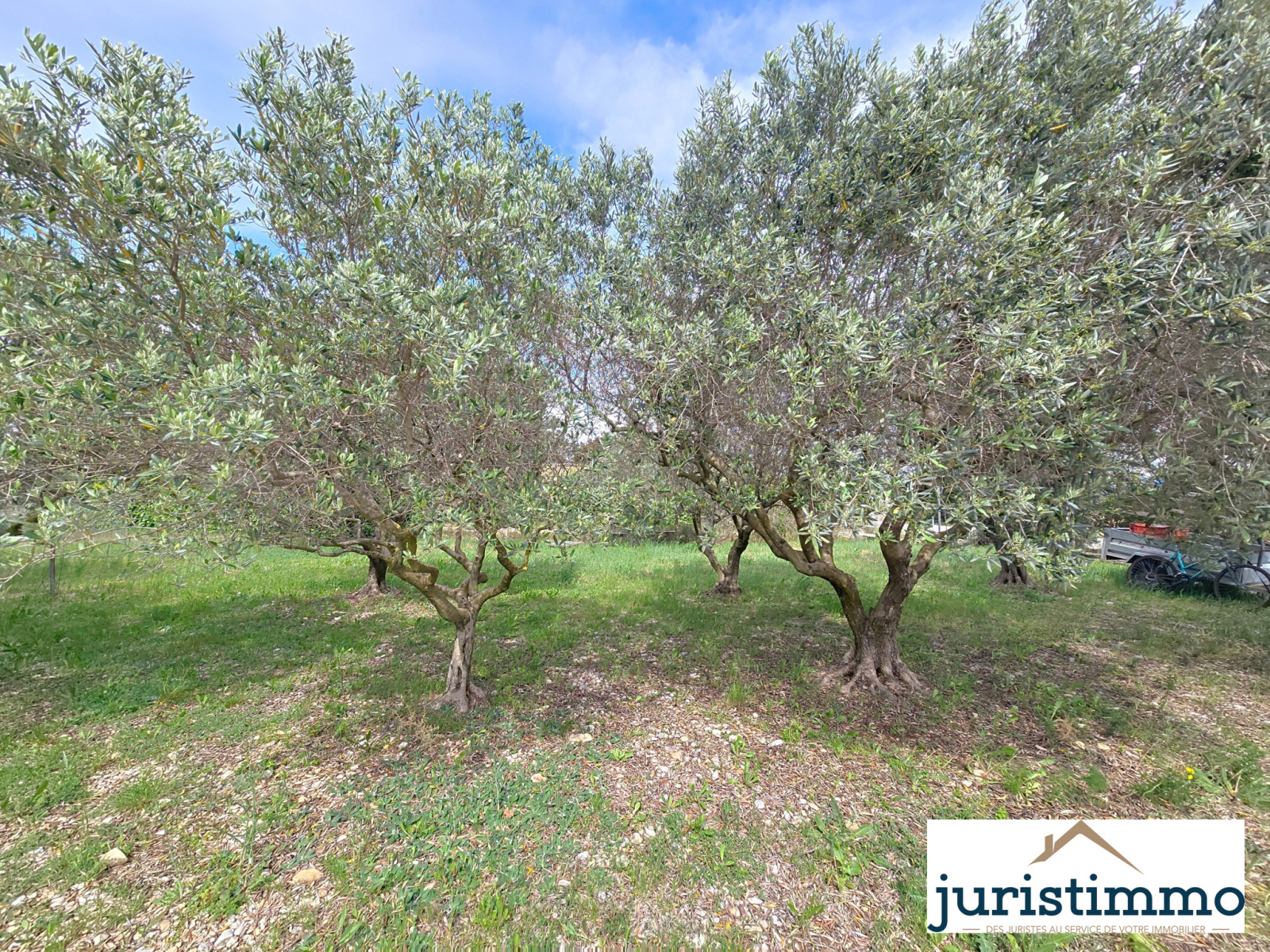 Image_22, Maison, Travaillan, ref :598