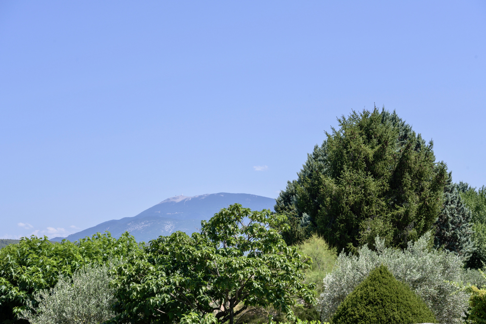 Image_24, Maison, Vaison-la-Romaine, ref :216
