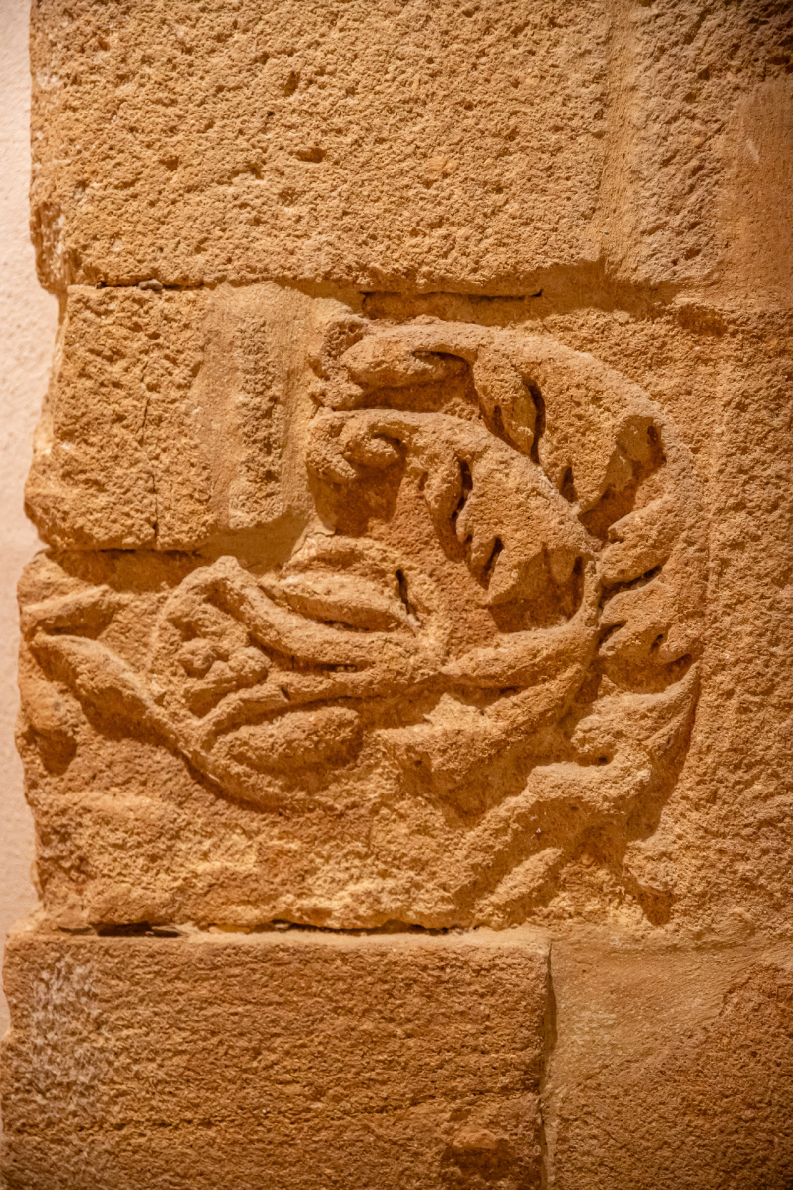 Image_19, Maison, Vaison-la-Romaine, ref :620