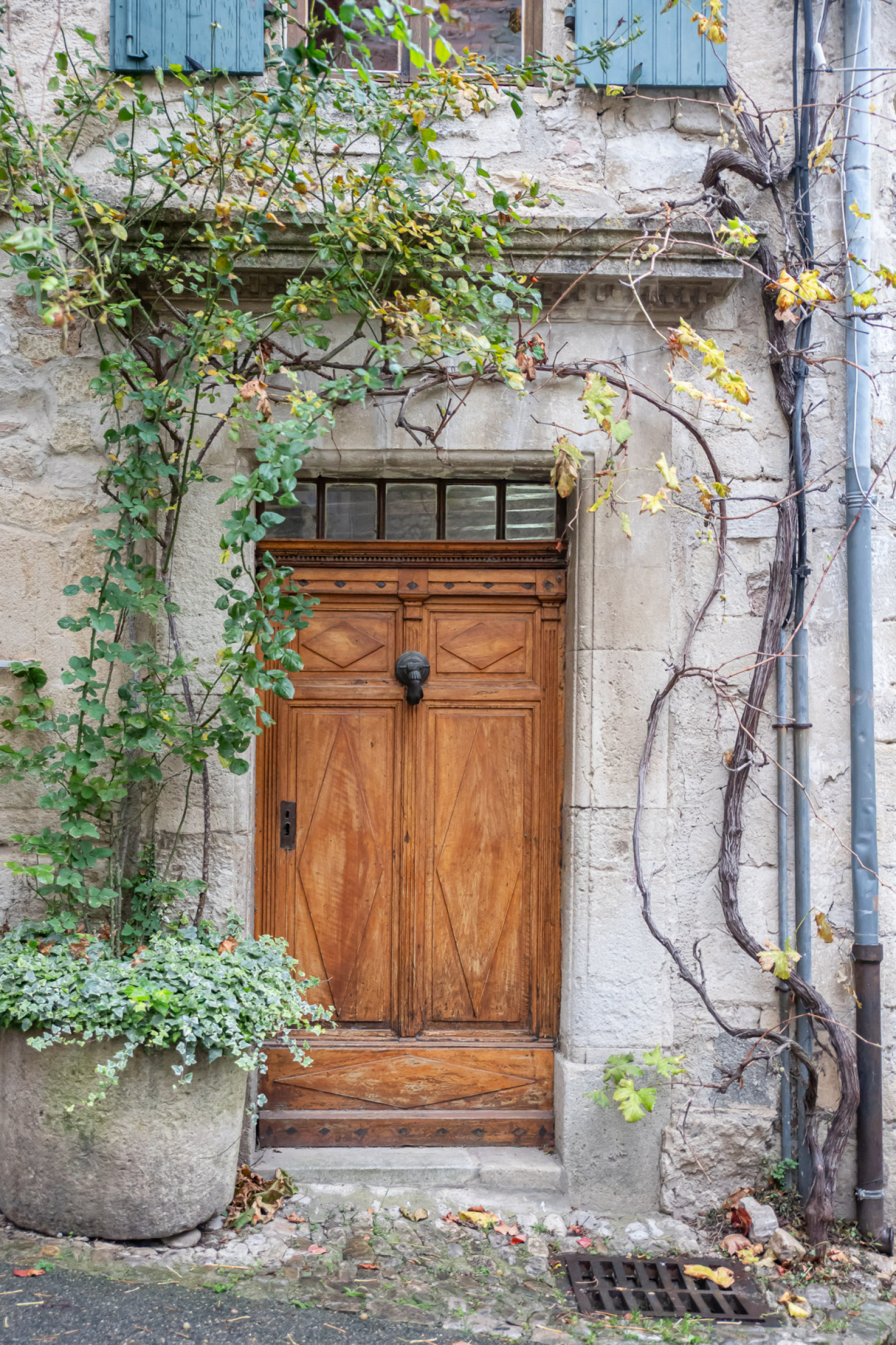 Image_22, Maison, Vaison-la-Romaine, ref :620