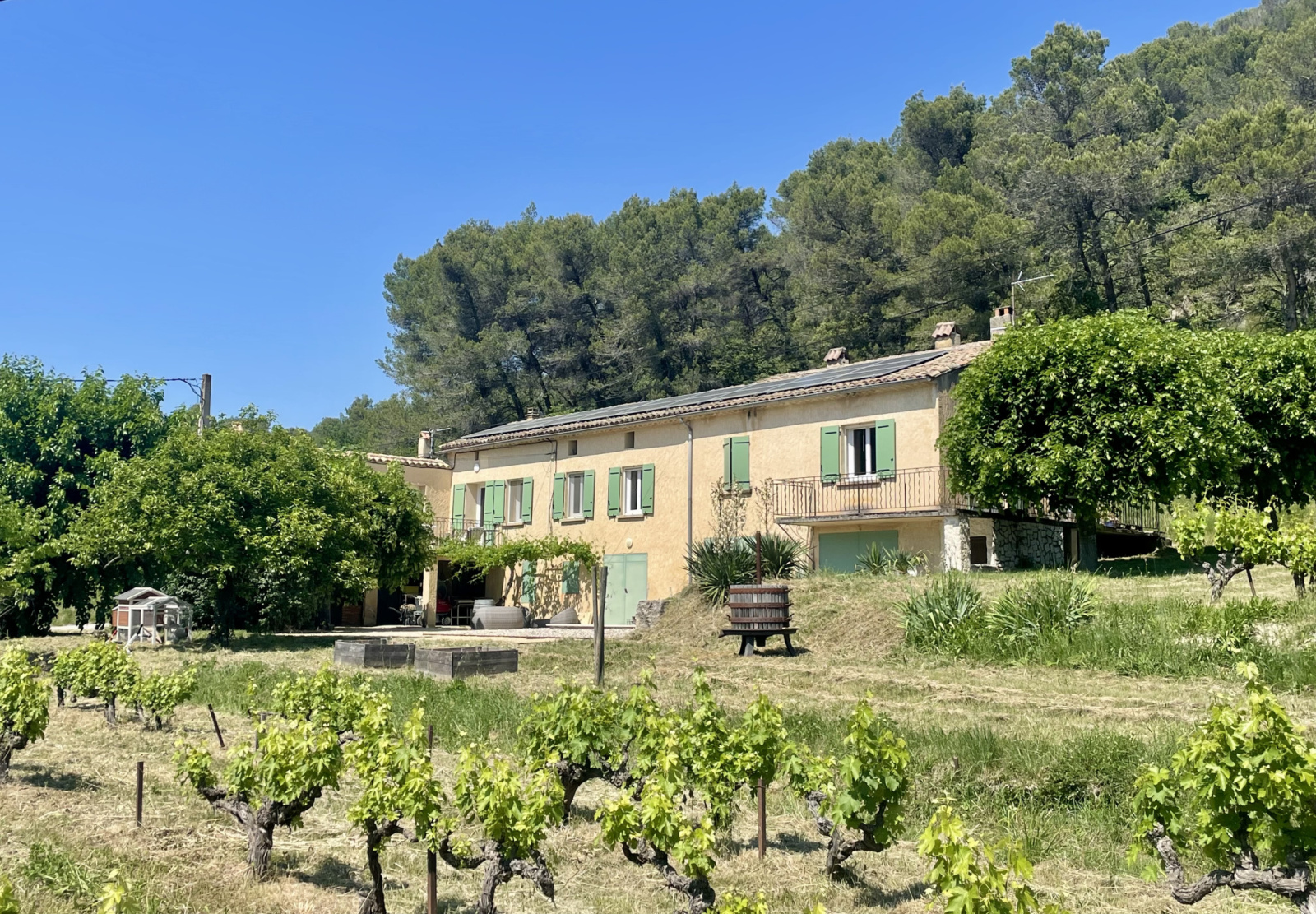 Image_5, Ferme, Faucon, ref :721
