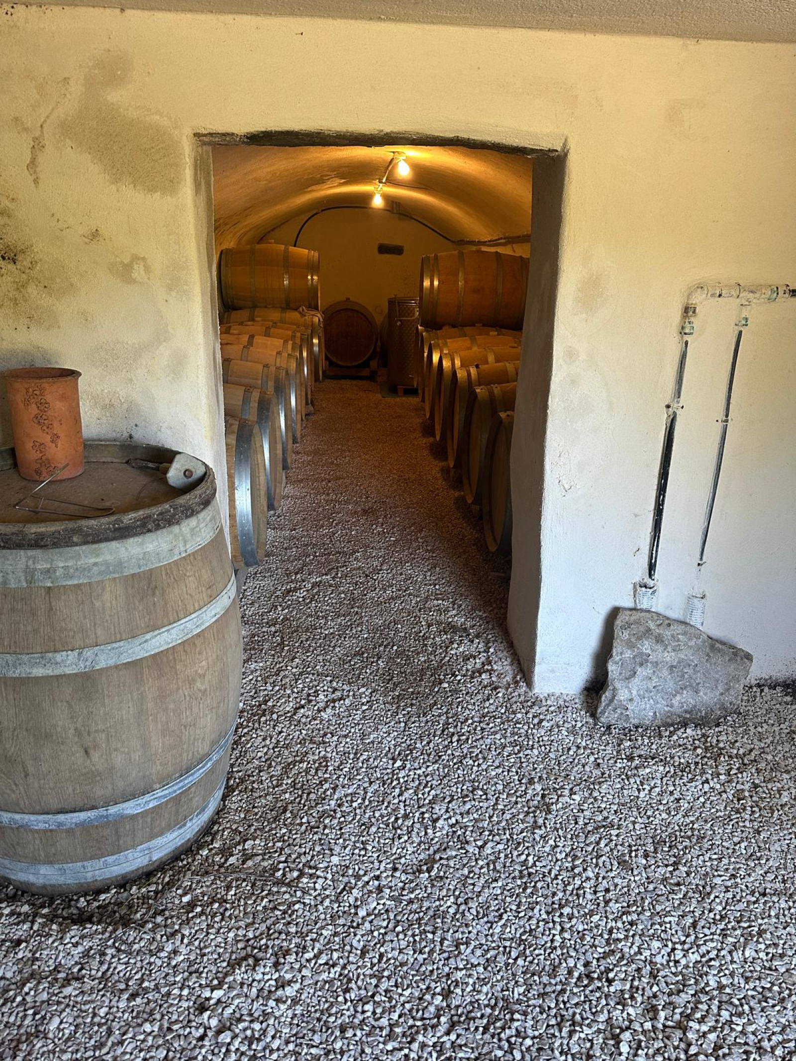 Image_21, Ferme, Faucon, ref :721