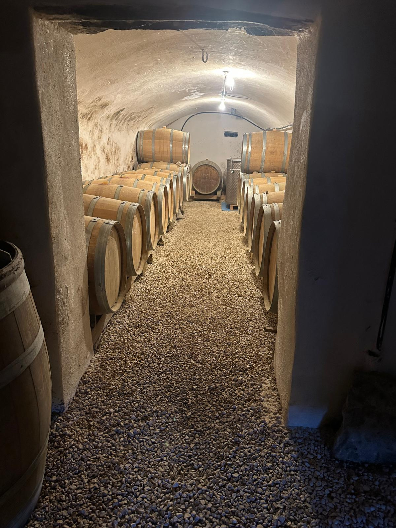 Image_20, Ferme, Faucon, ref :721