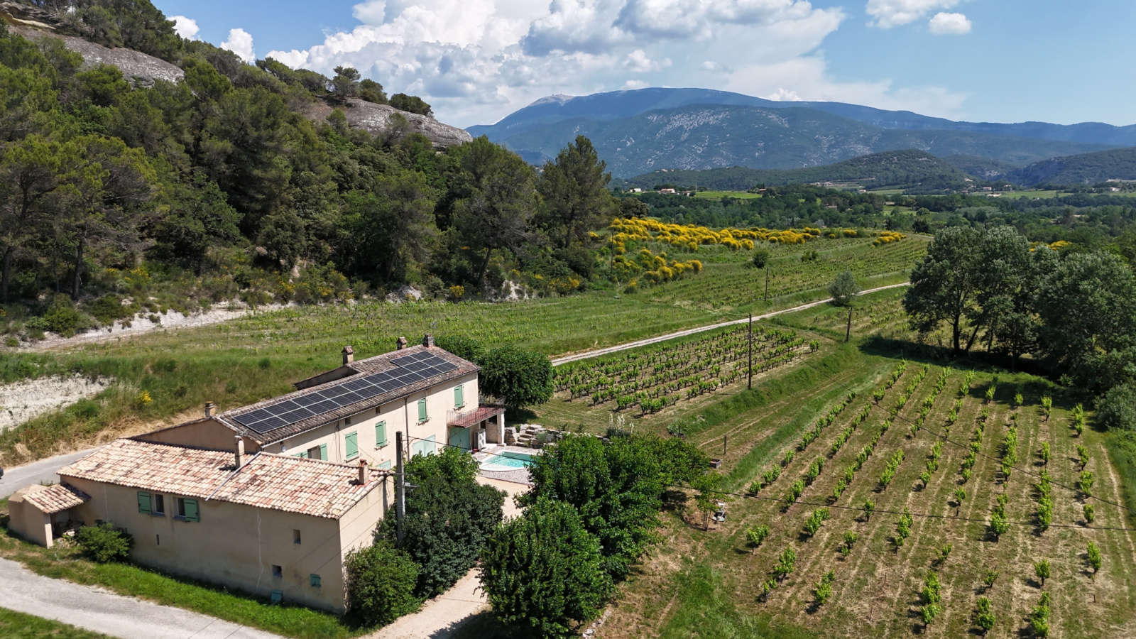 Image_2, Ferme, Faucon, ref :721