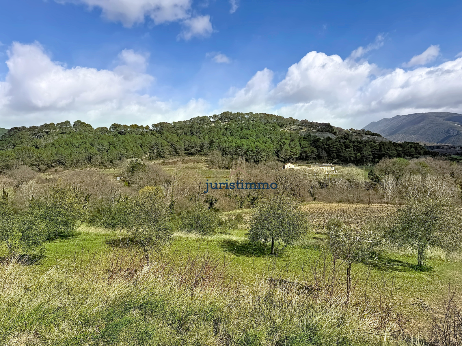 Image_3, Ferme, Faucon, ref :721