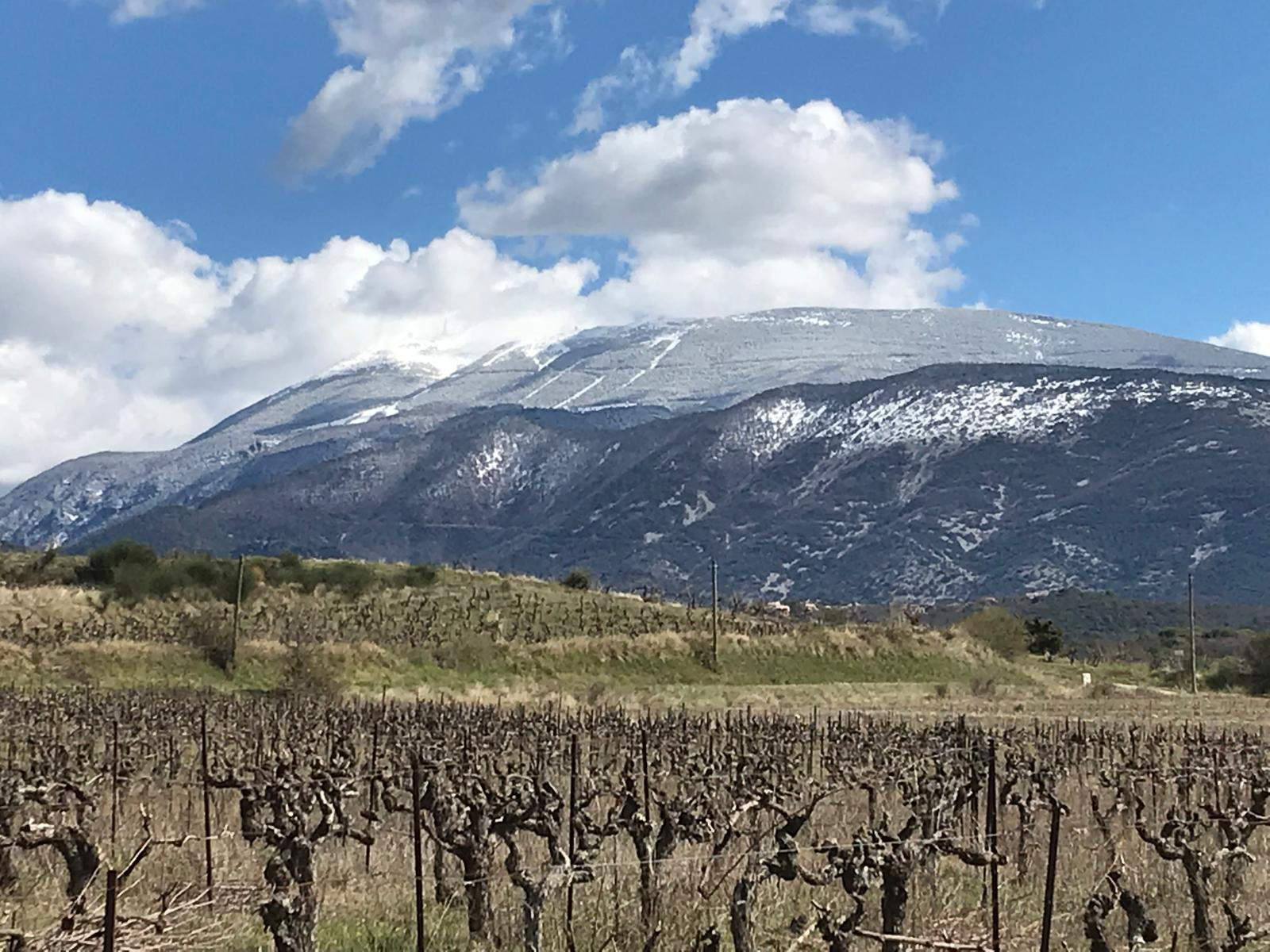 Image_2, Ferme, Faucon, ref :721