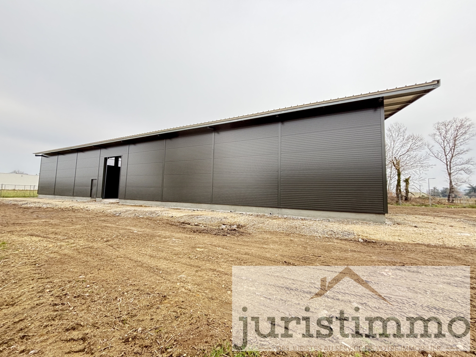 Image_3, Entrepôt, Bollène, ref :519