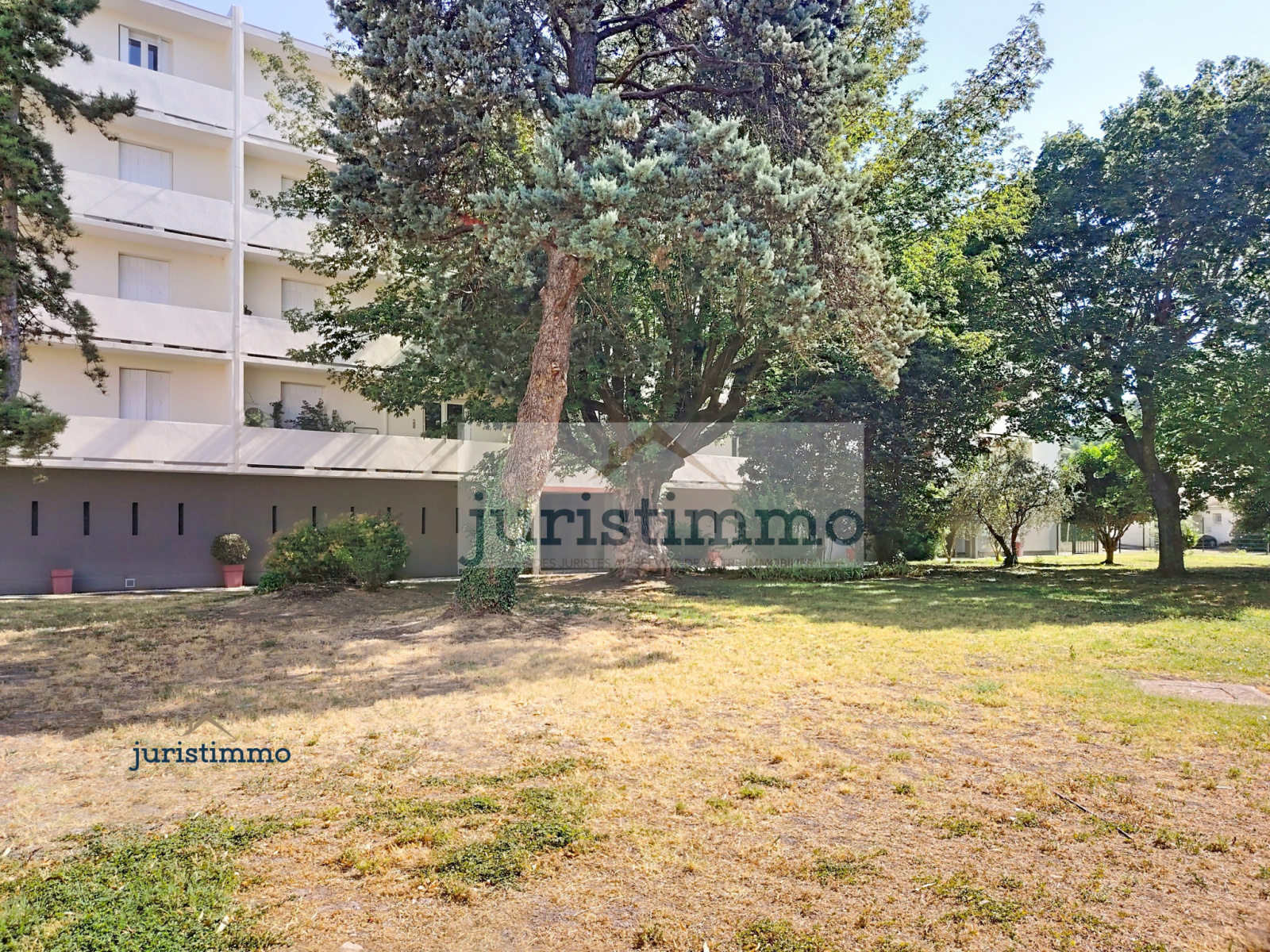 Image_2, Appartement, Orange, ref :840