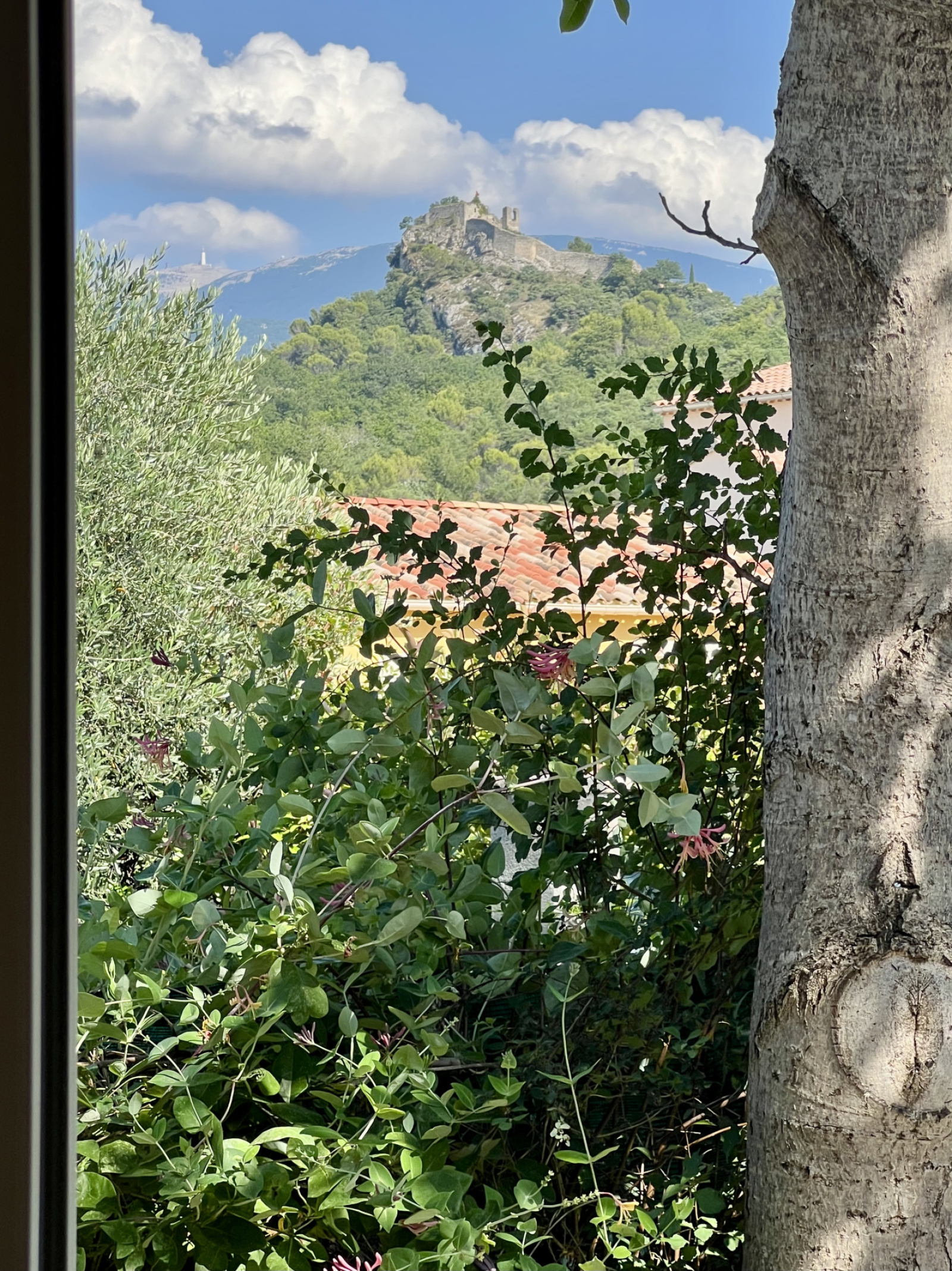 Image_18, Maison, Vaison-la-Romaine, ref :145