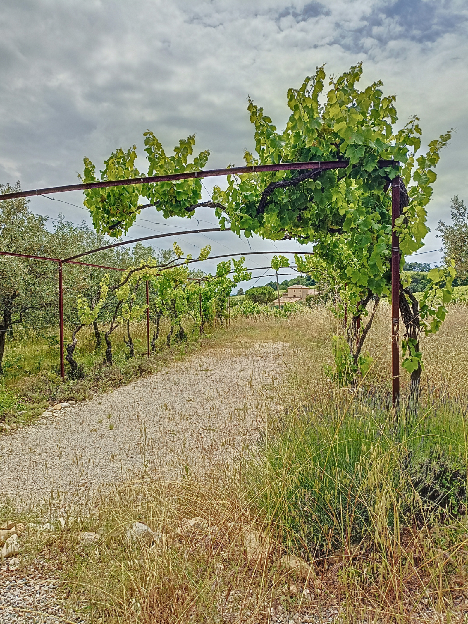 Image_40, Villa, Vinsobres, ref :HV0002