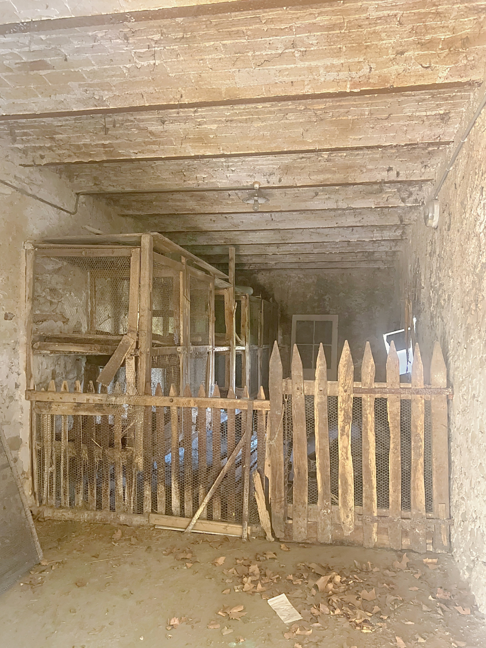 Image_4, Ferme, Saint-Maurice-sur-Eygues, ref :573