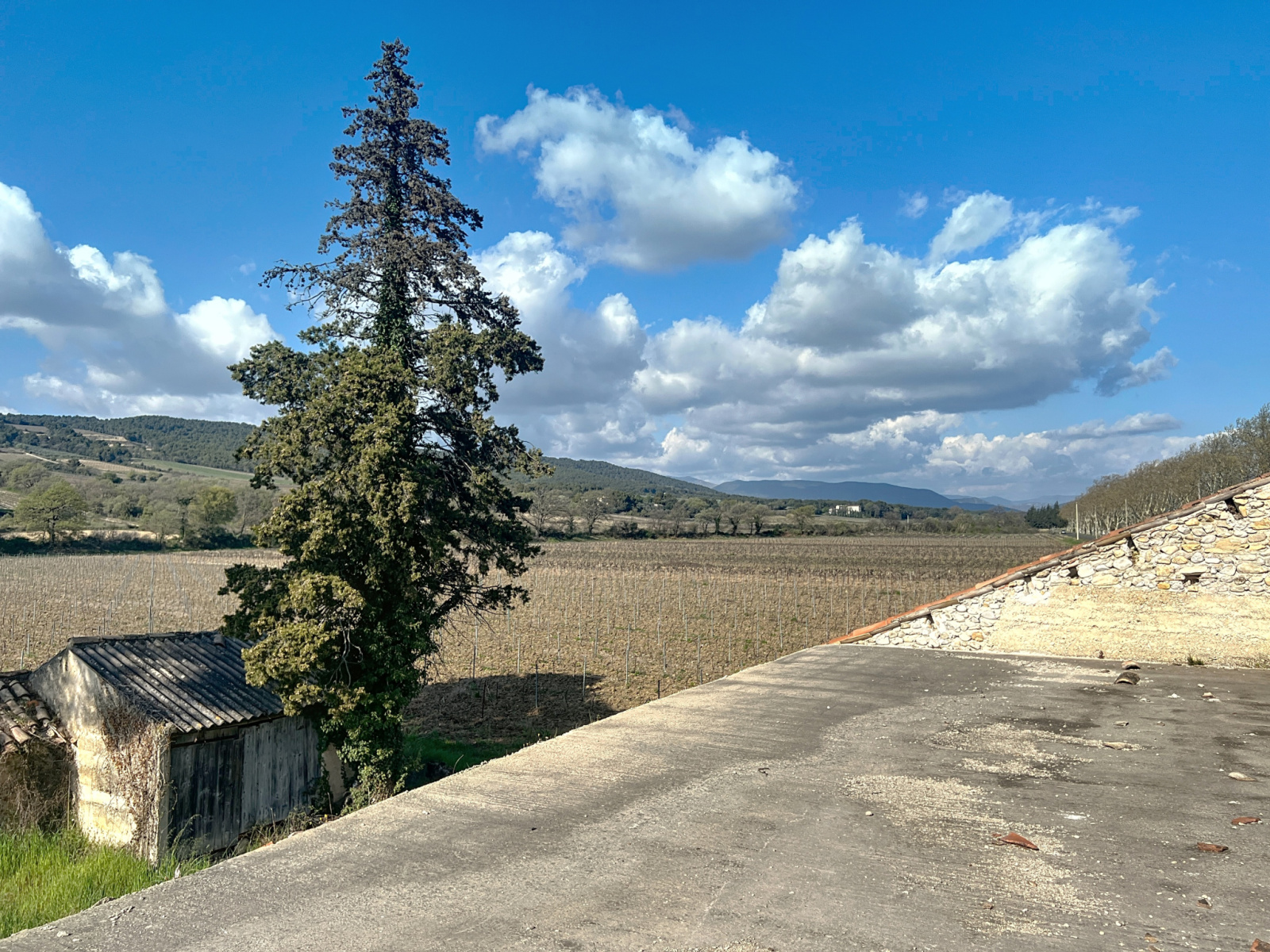 Image_14, Ferme, Saint-Maurice-sur-Eygues, ref :573