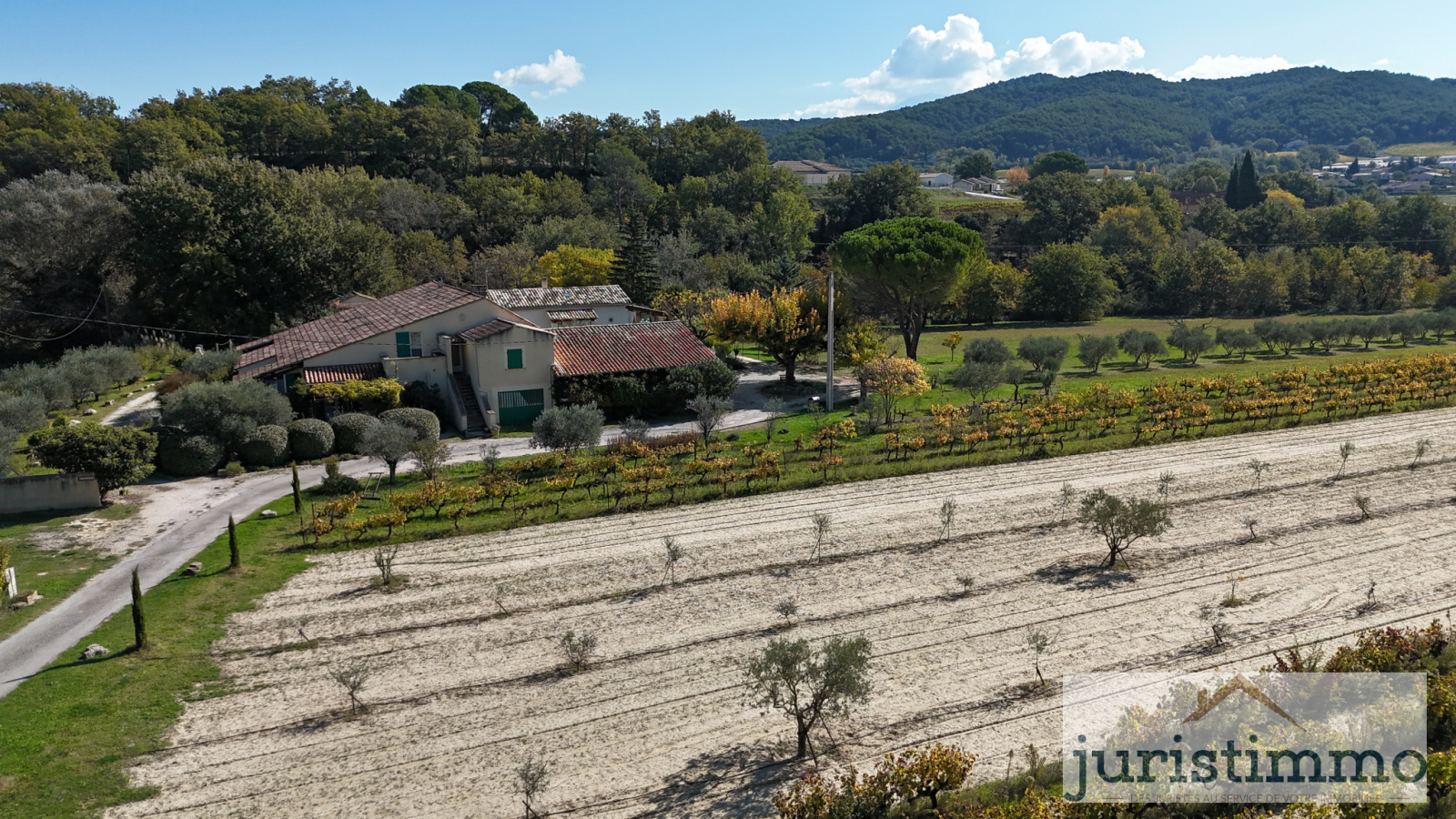 Image_36, Propriete, Saint-Romain-en-Viennois, ref :663