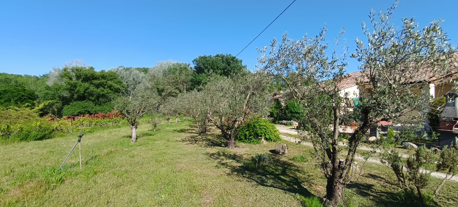 Image_38, Propriete, Saint-Romain-en-Viennois, ref :663