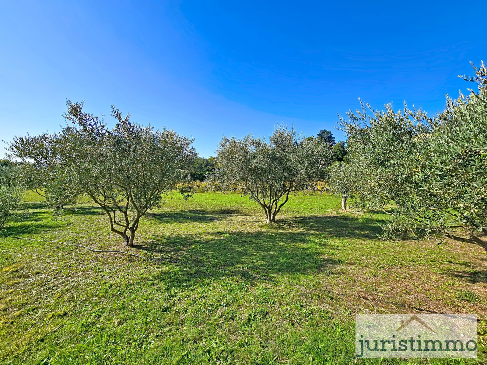 Image_16, Propriete, Saint-Romain-en-Viennois, ref :663