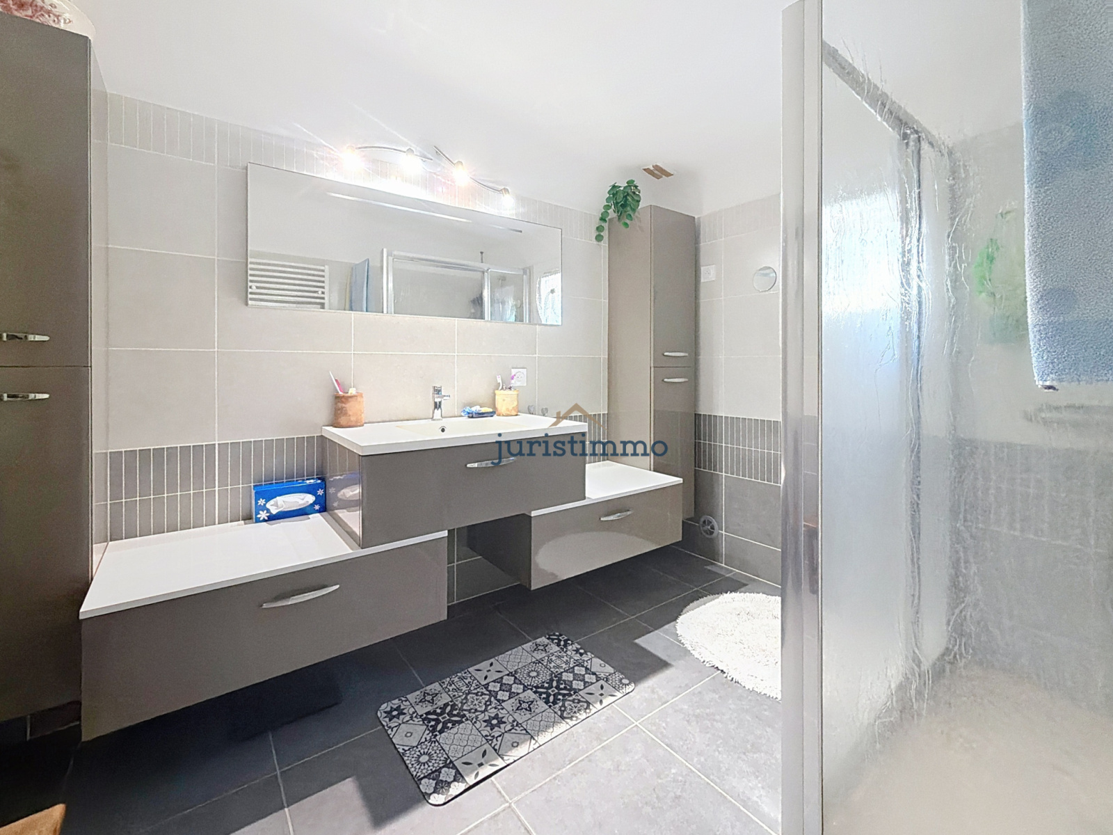 Image_31, Propriete, Saint-Romain-en-Viennois, ref :663