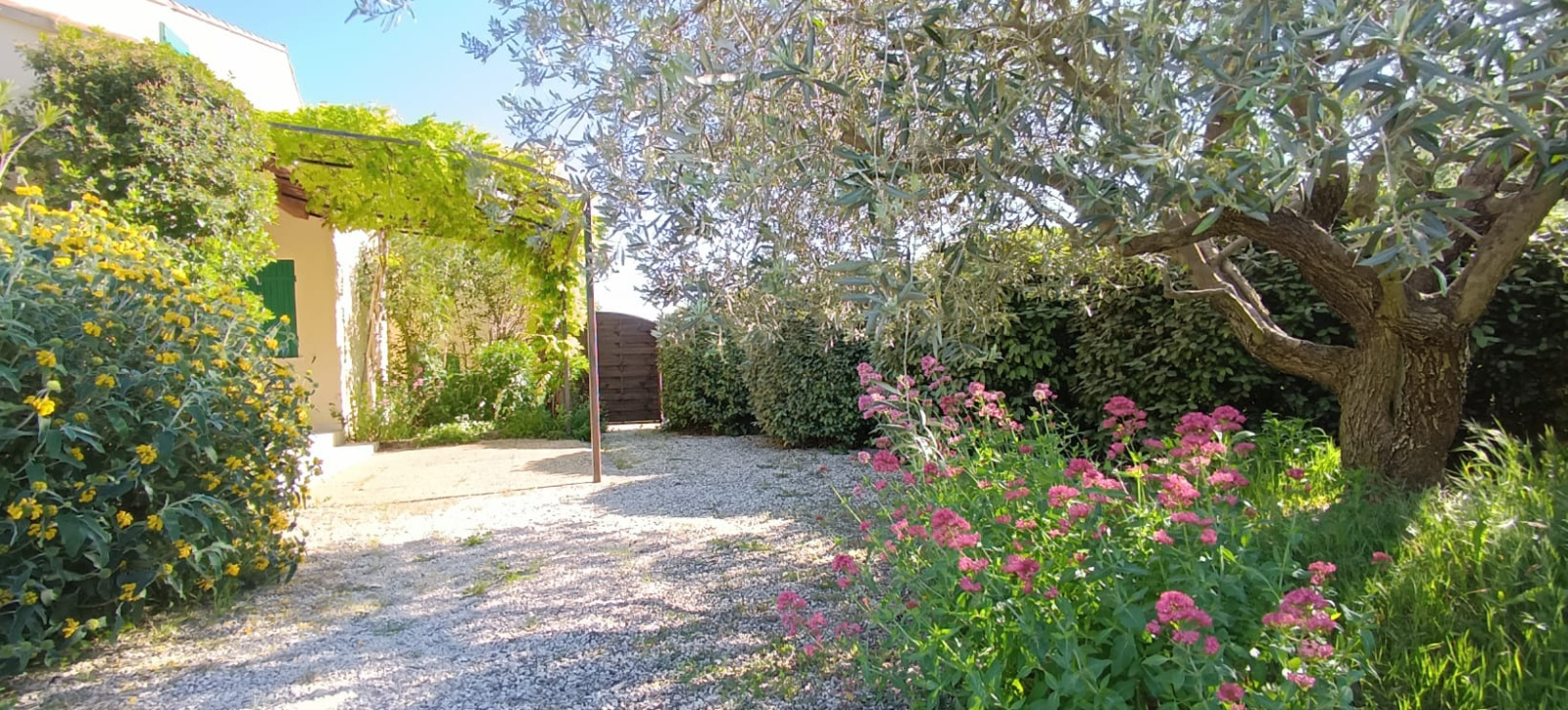 Image_32, Propriete, Saint-Romain-en-Viennois, ref :663