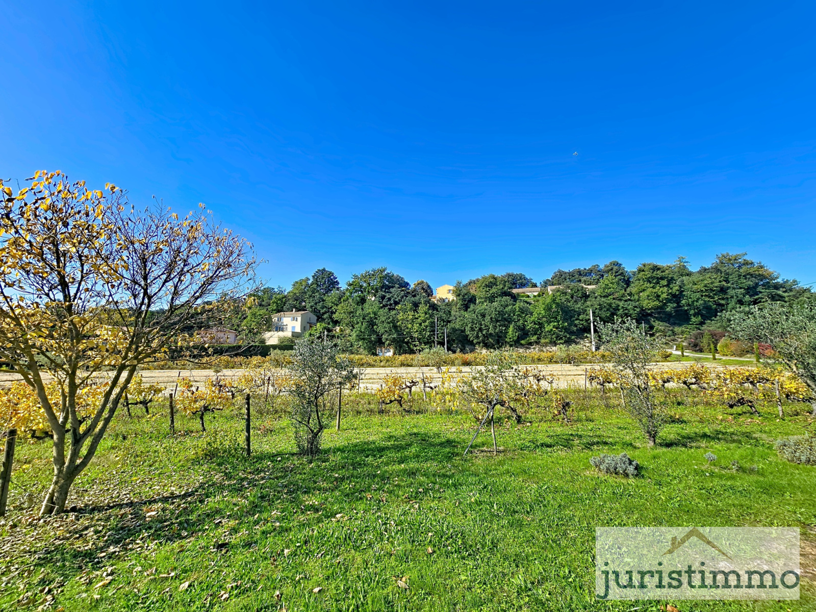 Image_22, Propriete, Saint-Romain-en-Viennois, ref :663