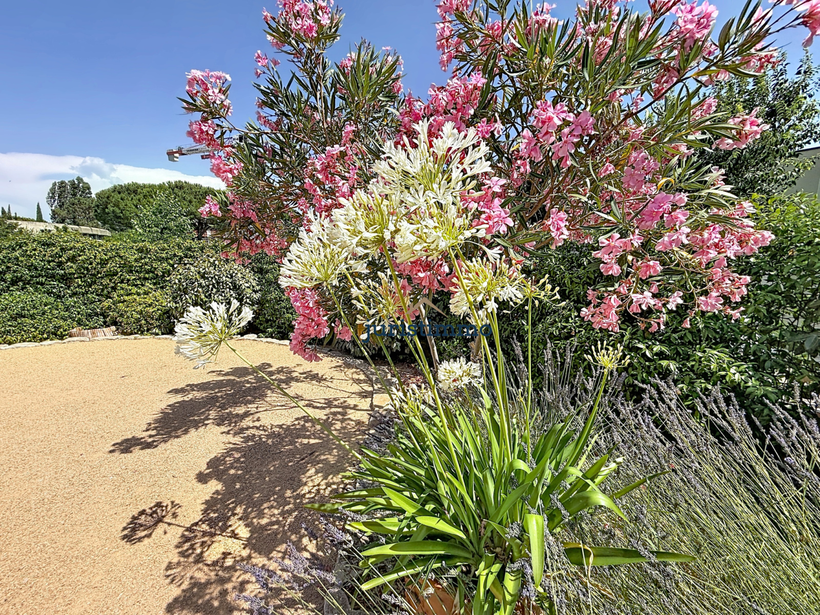 Image_21, Villa, Vaison-la-Romaine, ref :835