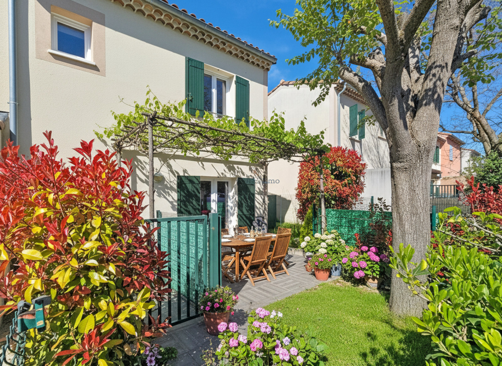 Image_1, Maison, Aubignan, ref :753