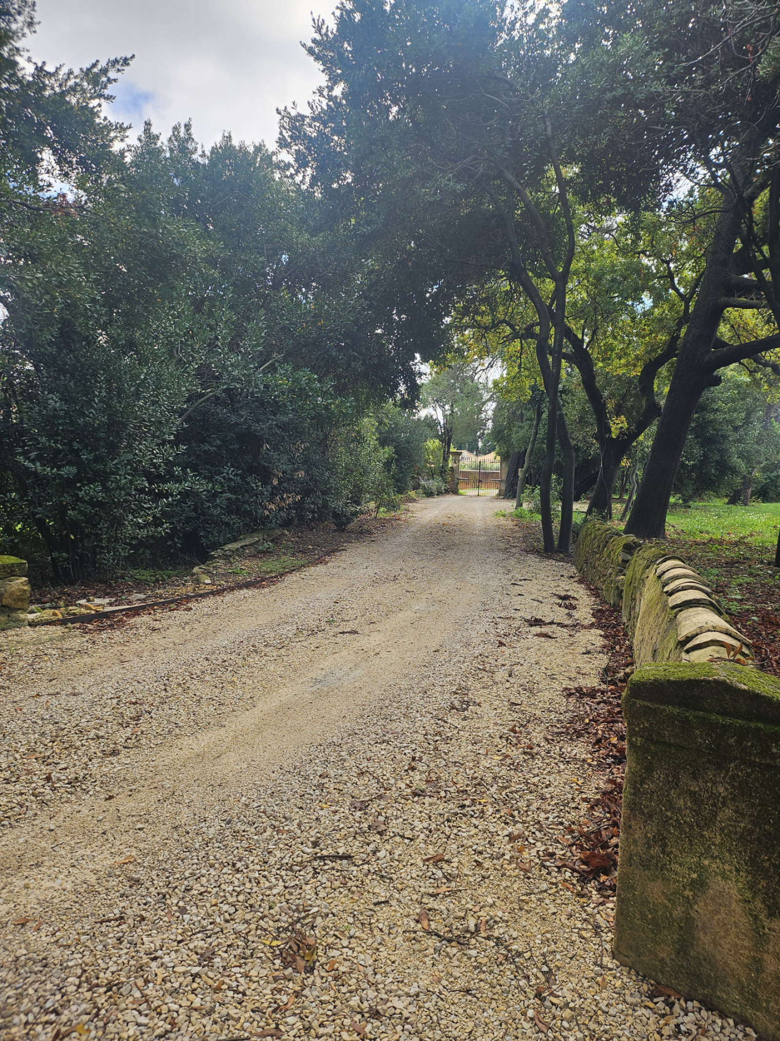 Image_28, Propriete, Orange, ref :694