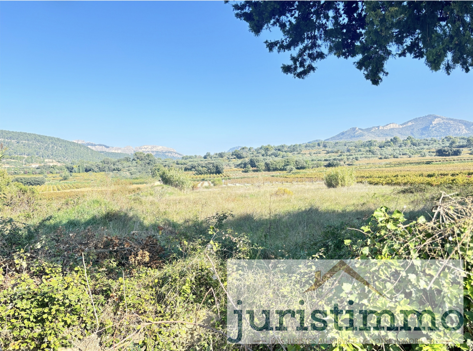 Image_15, Mas, Beaumes-de-Venise, ref :660