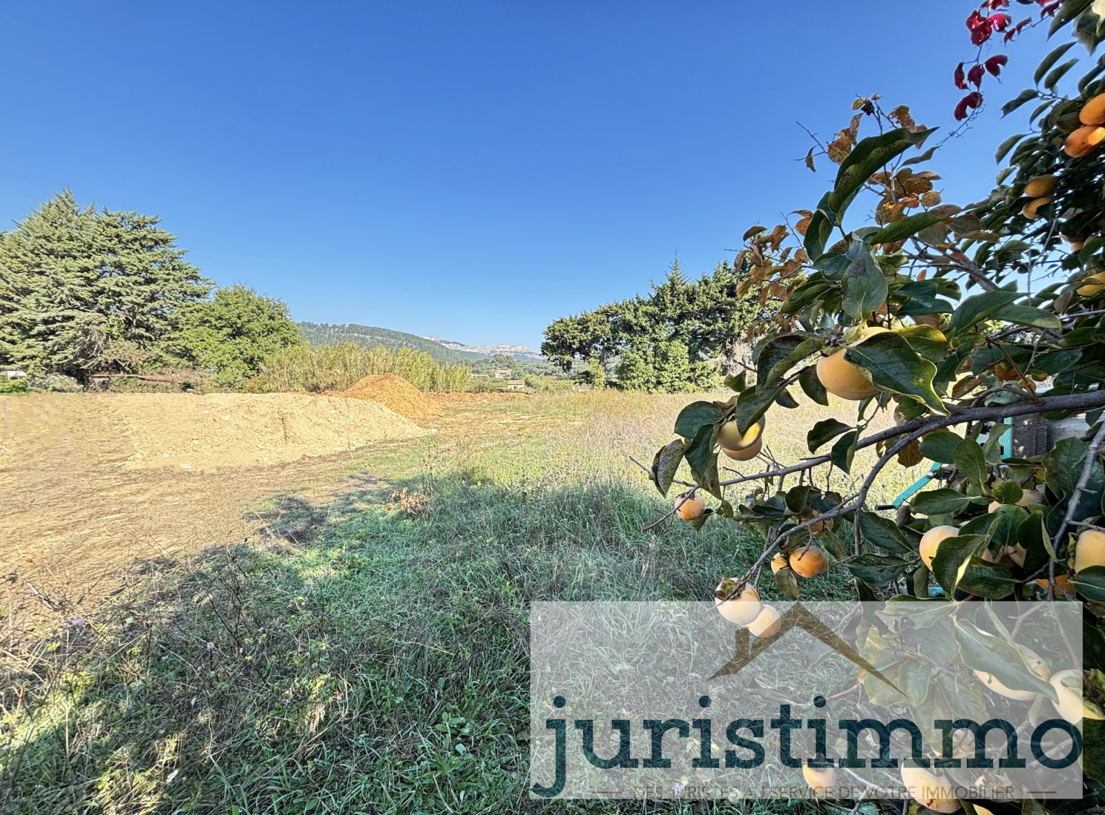 Image_14, Mas, Beaumes-de-Venise, ref :660