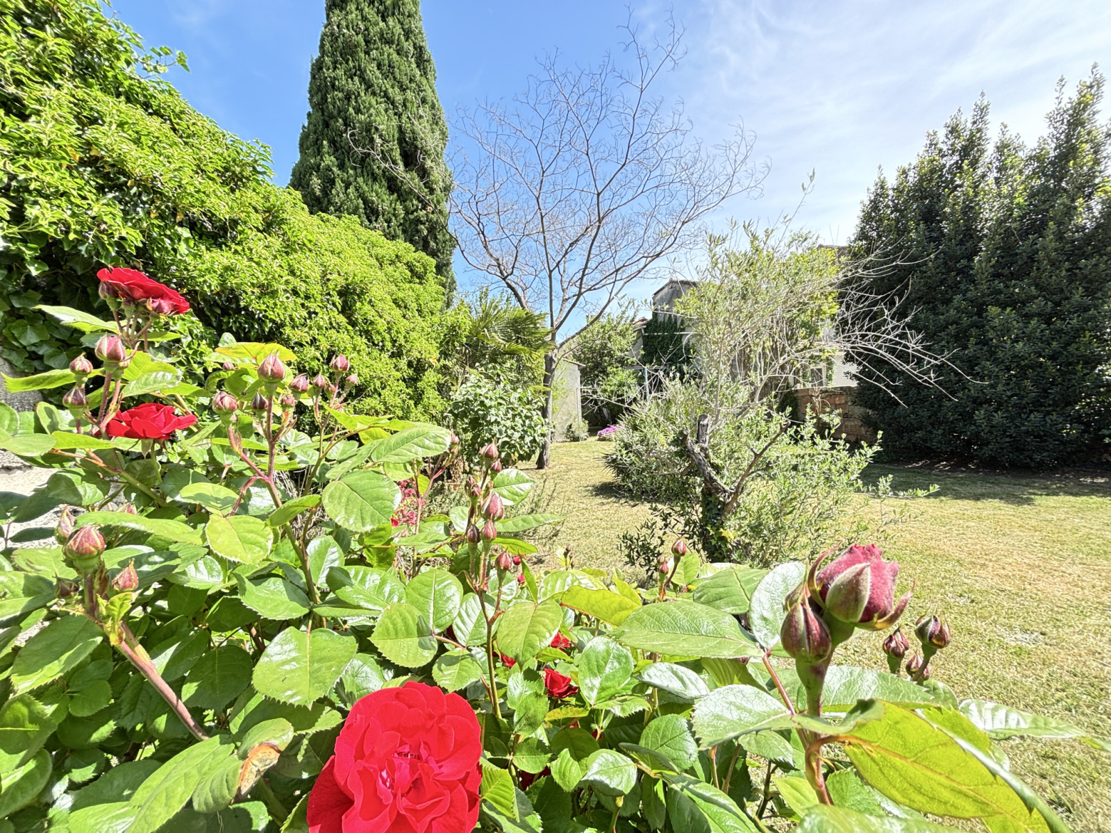 Image_1, Maison de village, Lapalud, ref :671