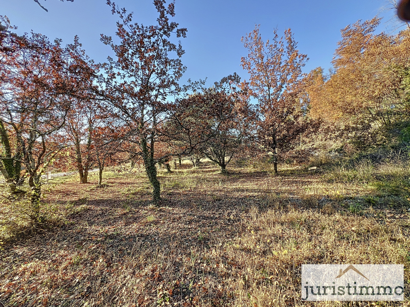 Image_5, Terrain, Entrechaux, ref :674