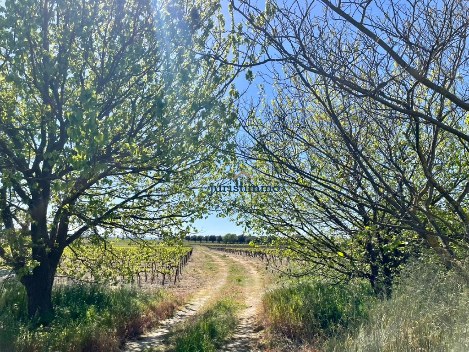 Image_15, Mas, Camaret-sur-Aigues, ref :766